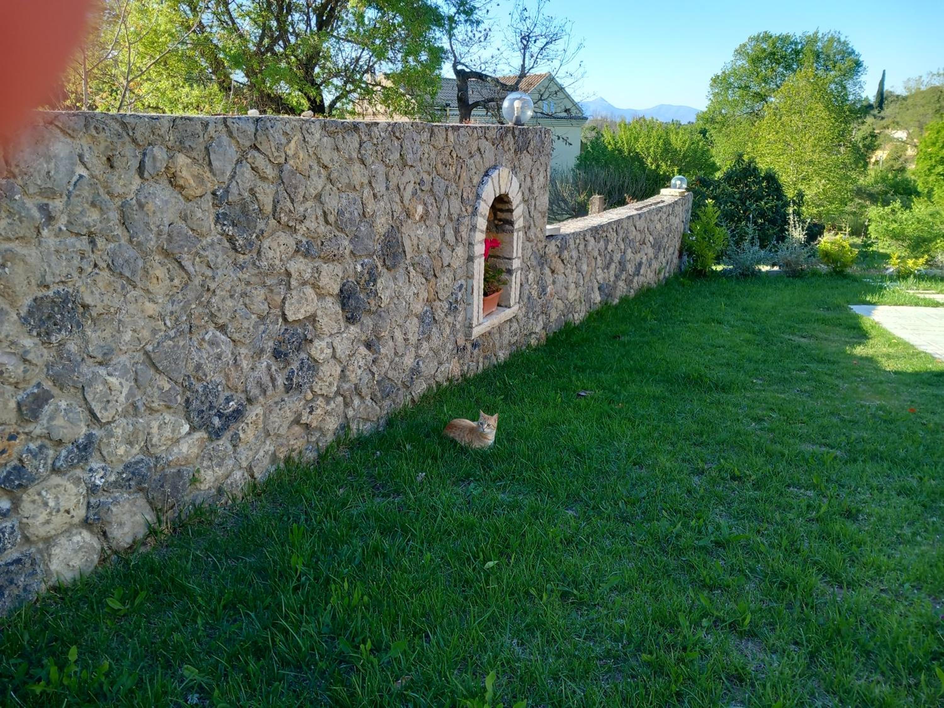 Photo 40