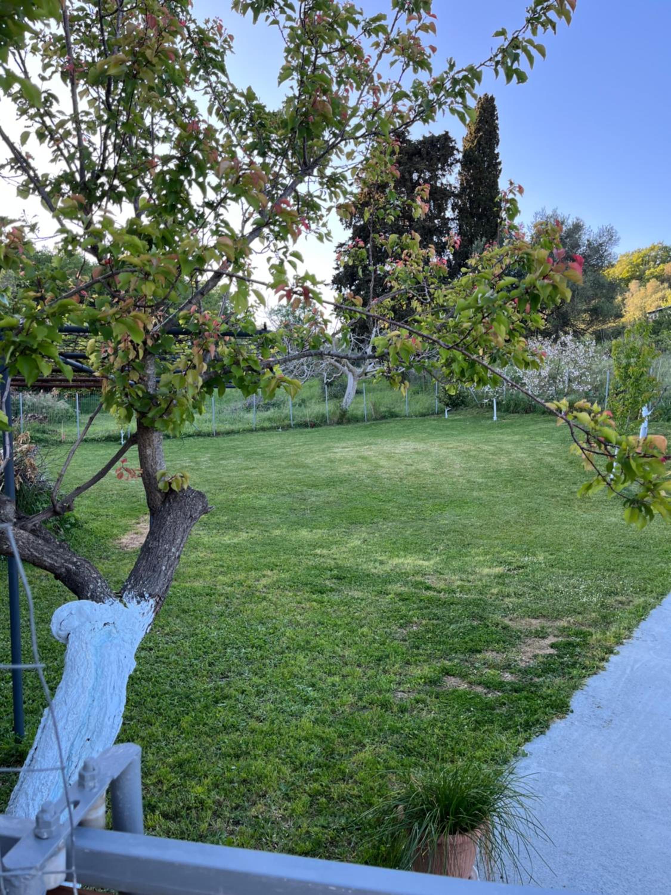 Home in nature view 3