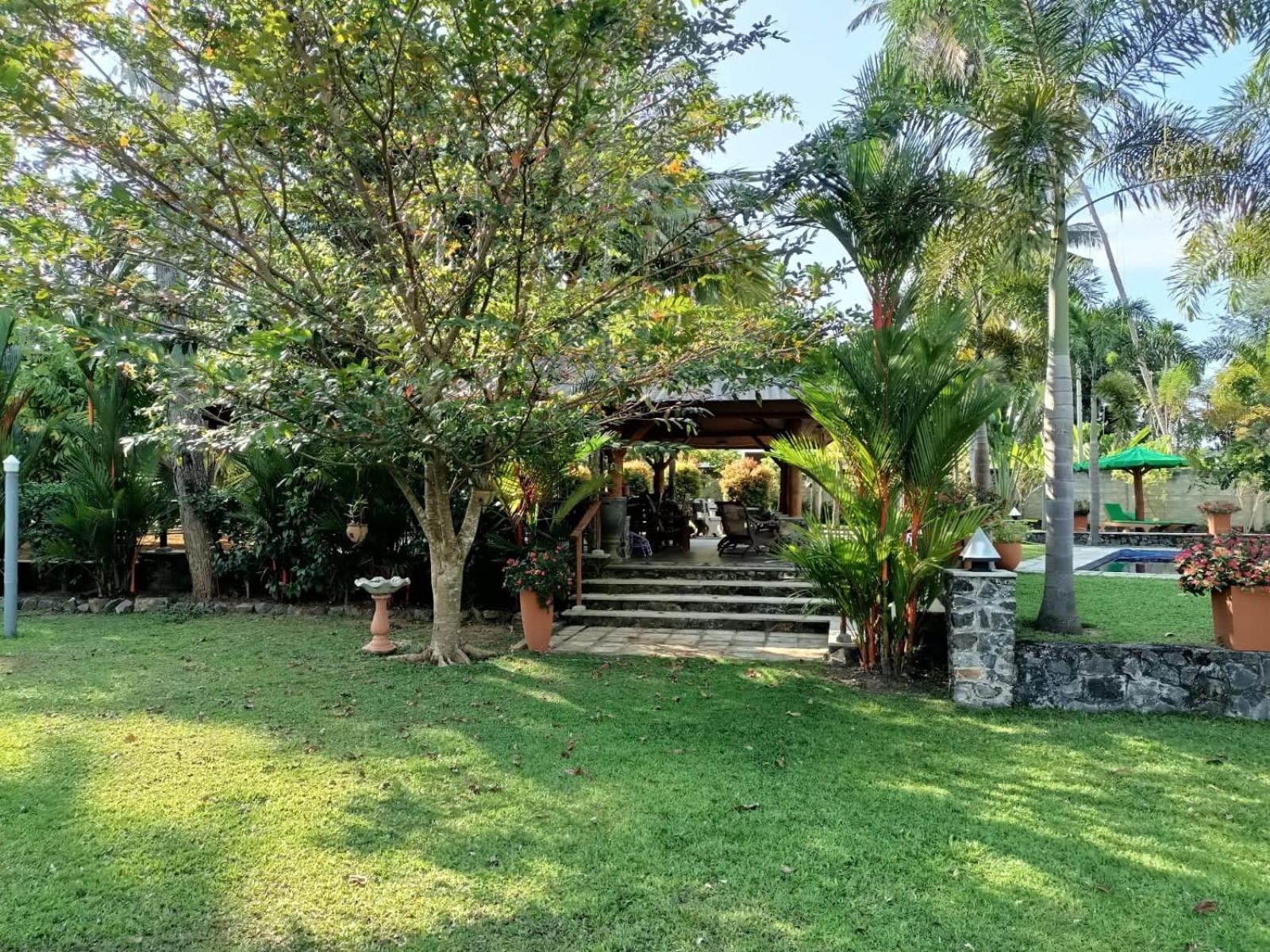 Photo 25