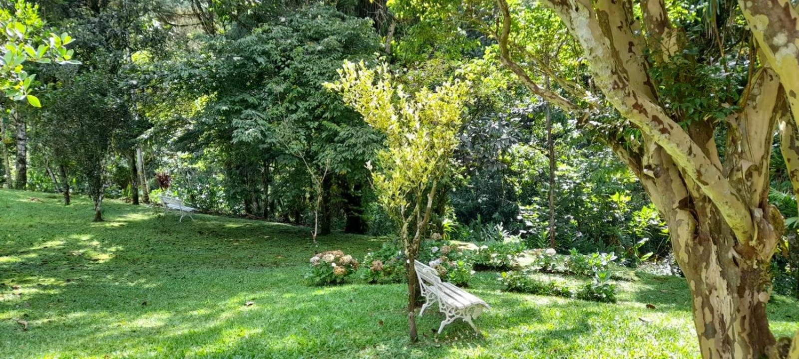 Pousada Bosque do Visconde