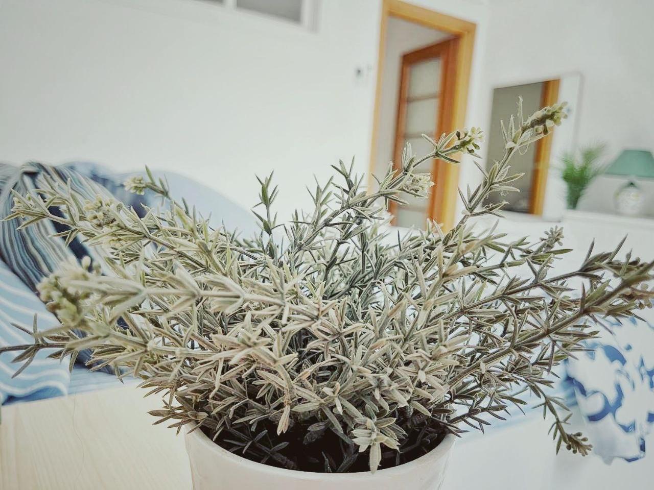Casa Titti en Vietri — other