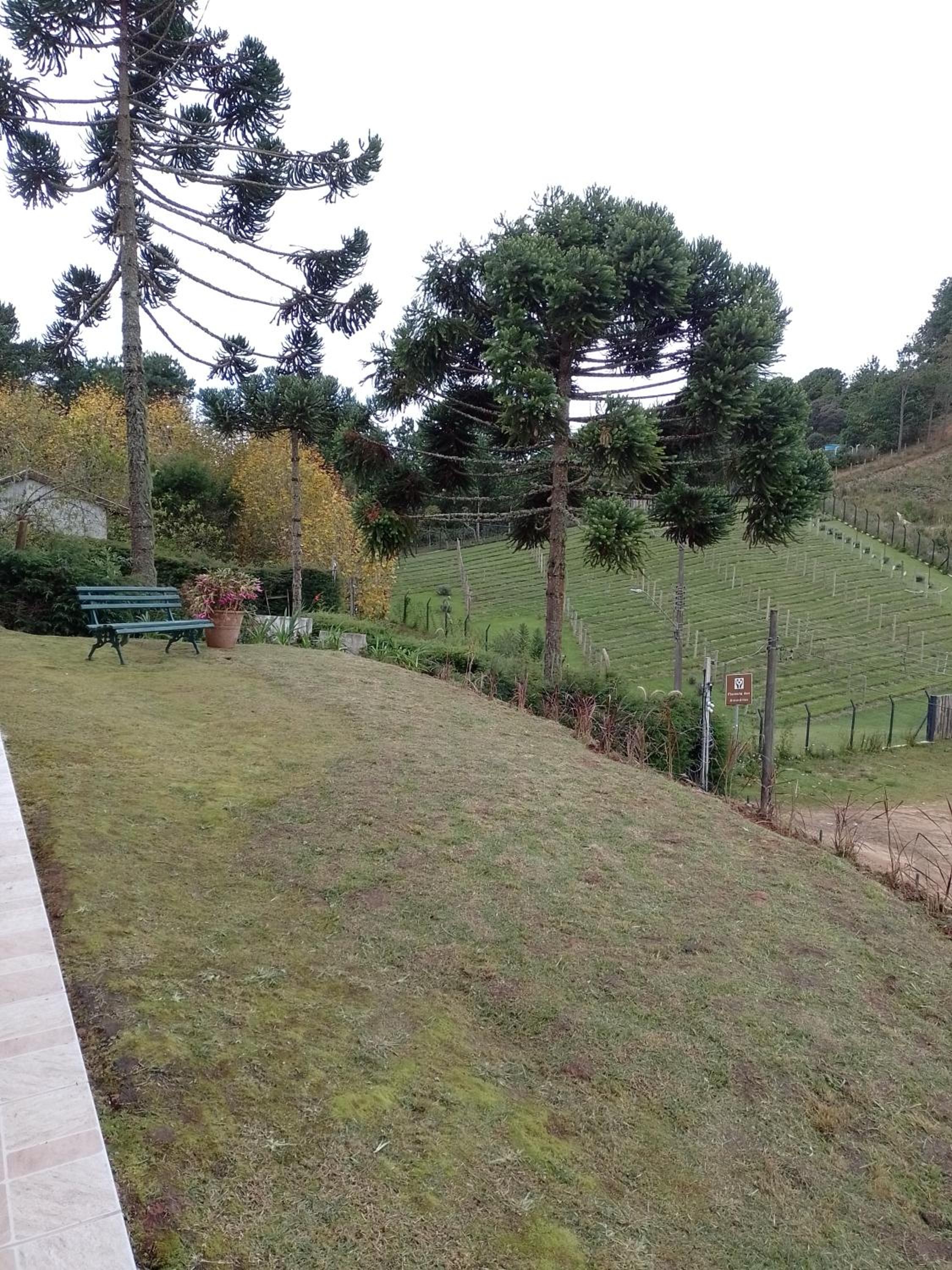 Casa flores do campo