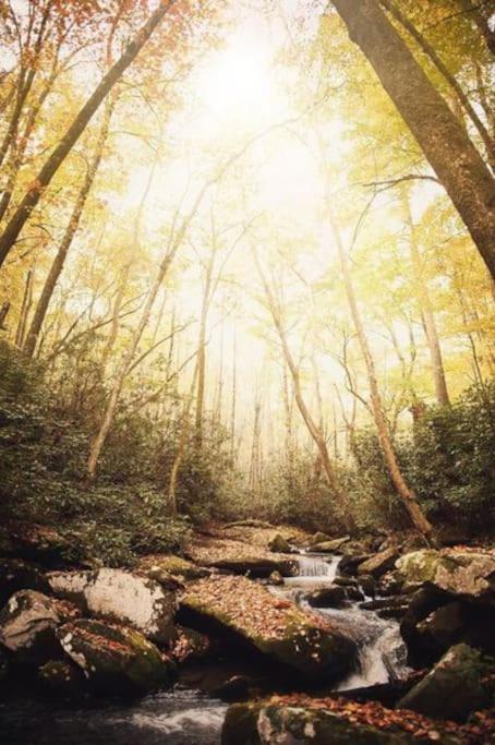 40 Acres w/Waterfalls, Vineyard, Stream, 5 bedroom