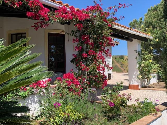 Quinta Casa May view 2
