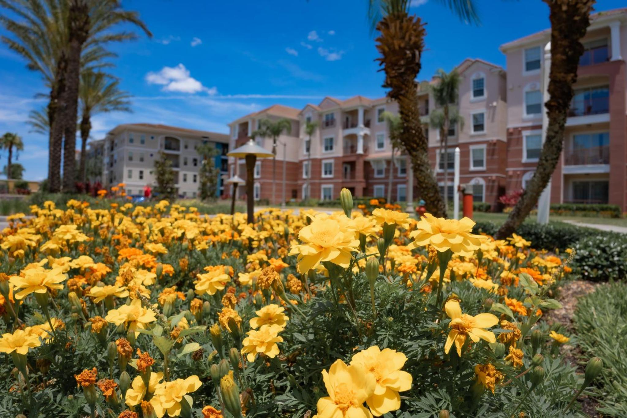 Stylish Vista Cay Lakeview Elegance Near all Theme Parks, and walk to the Convention Center
