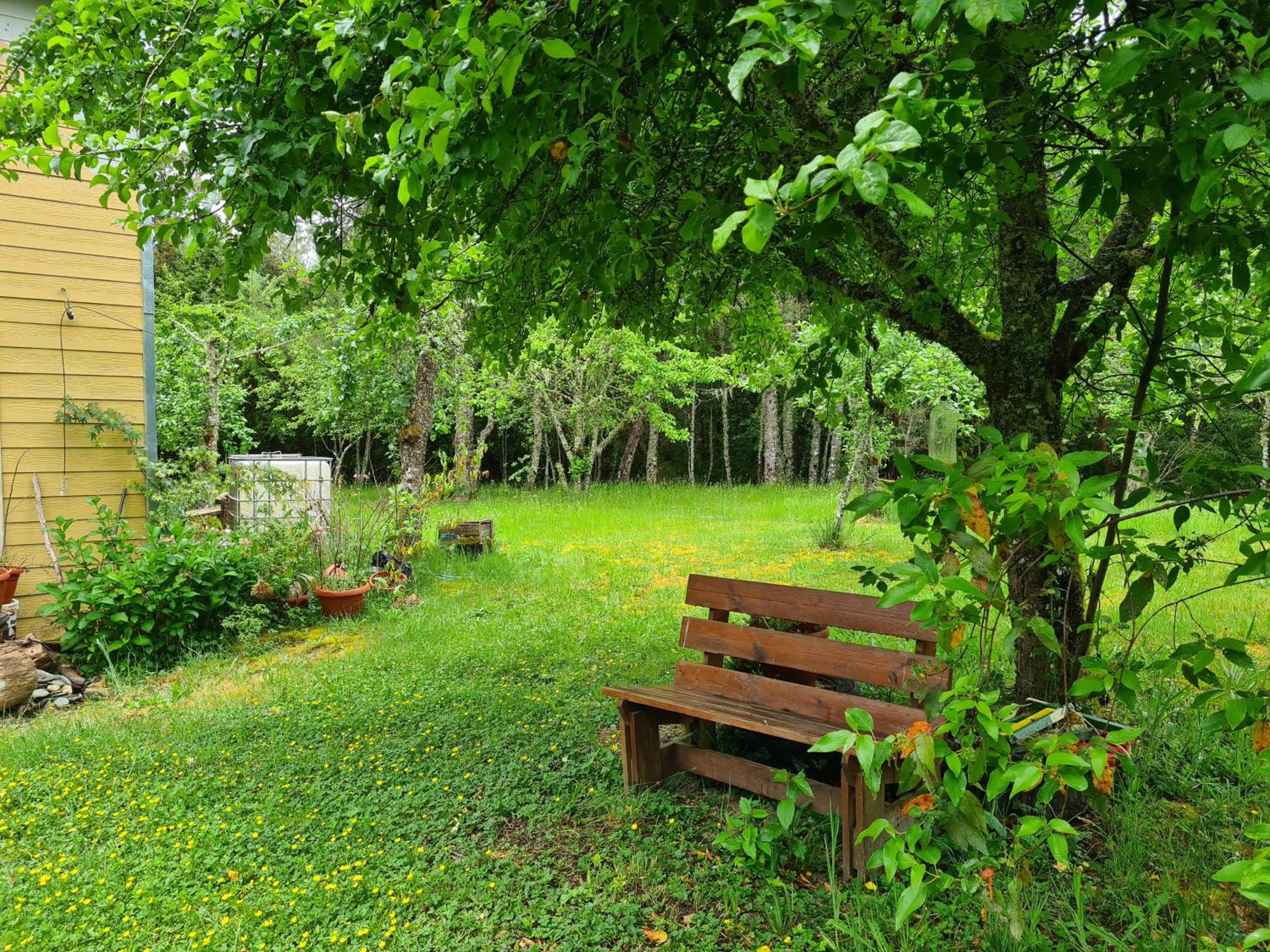 Casa Selva