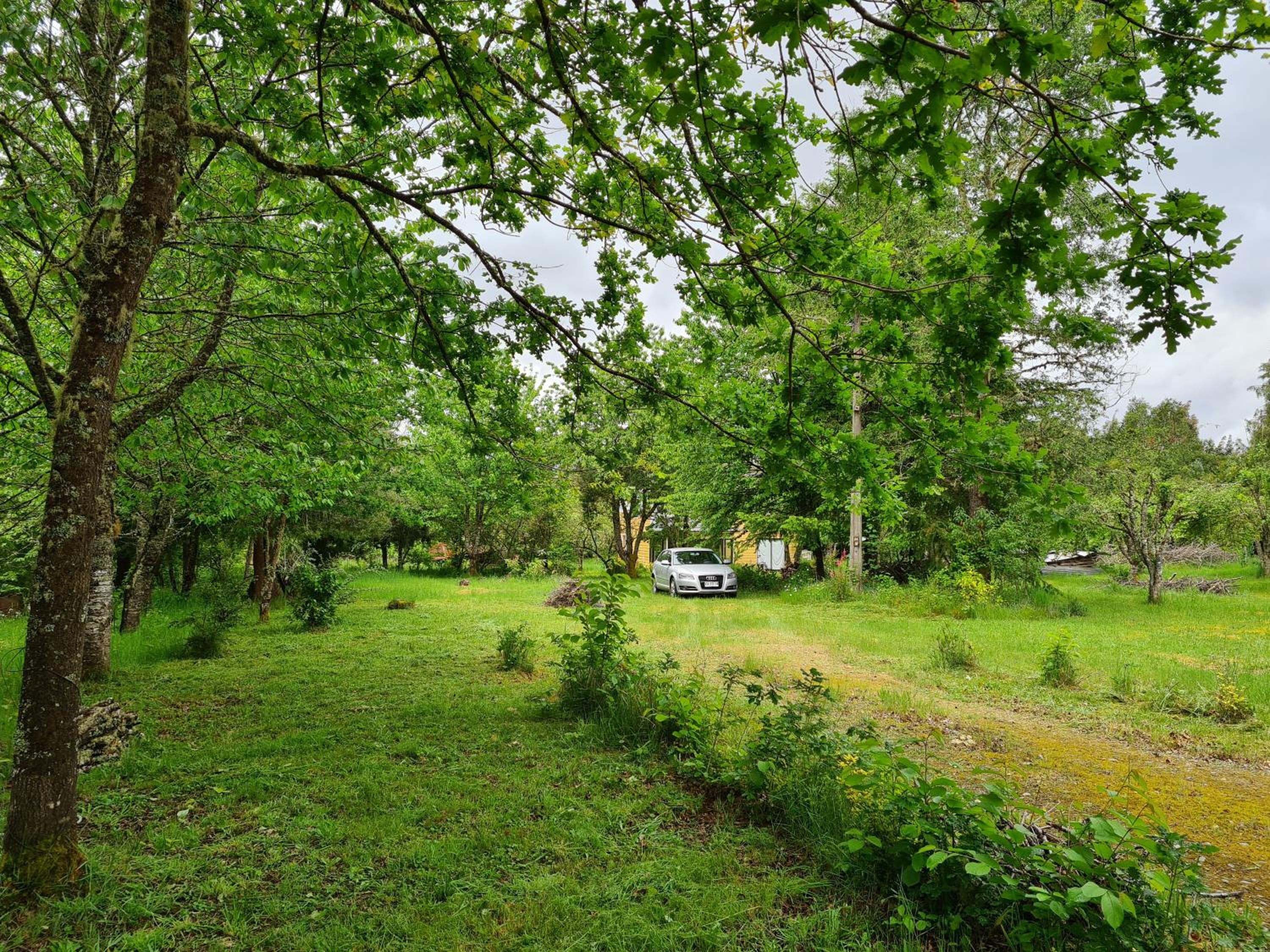 Casa Selva