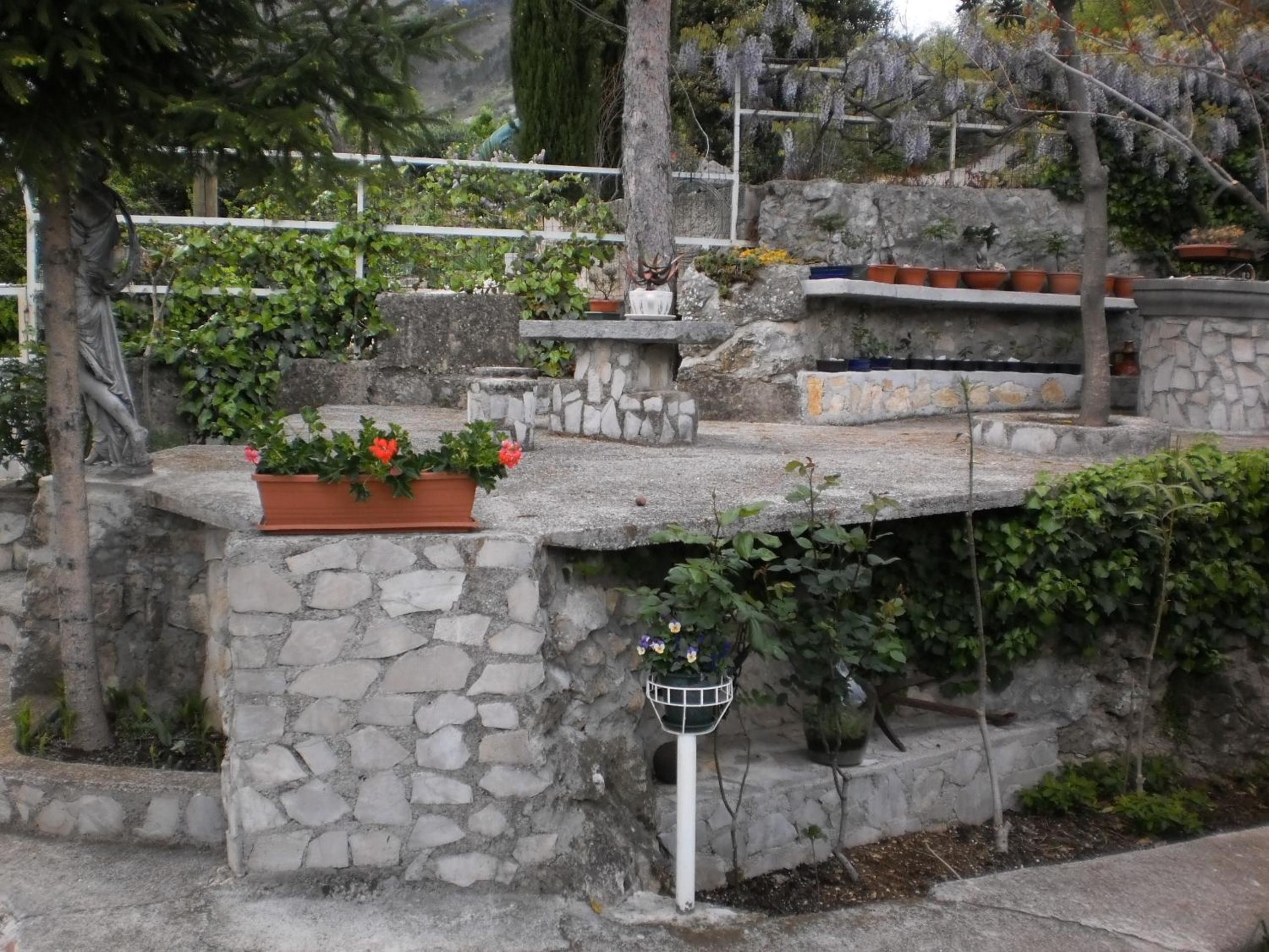 Photo 31