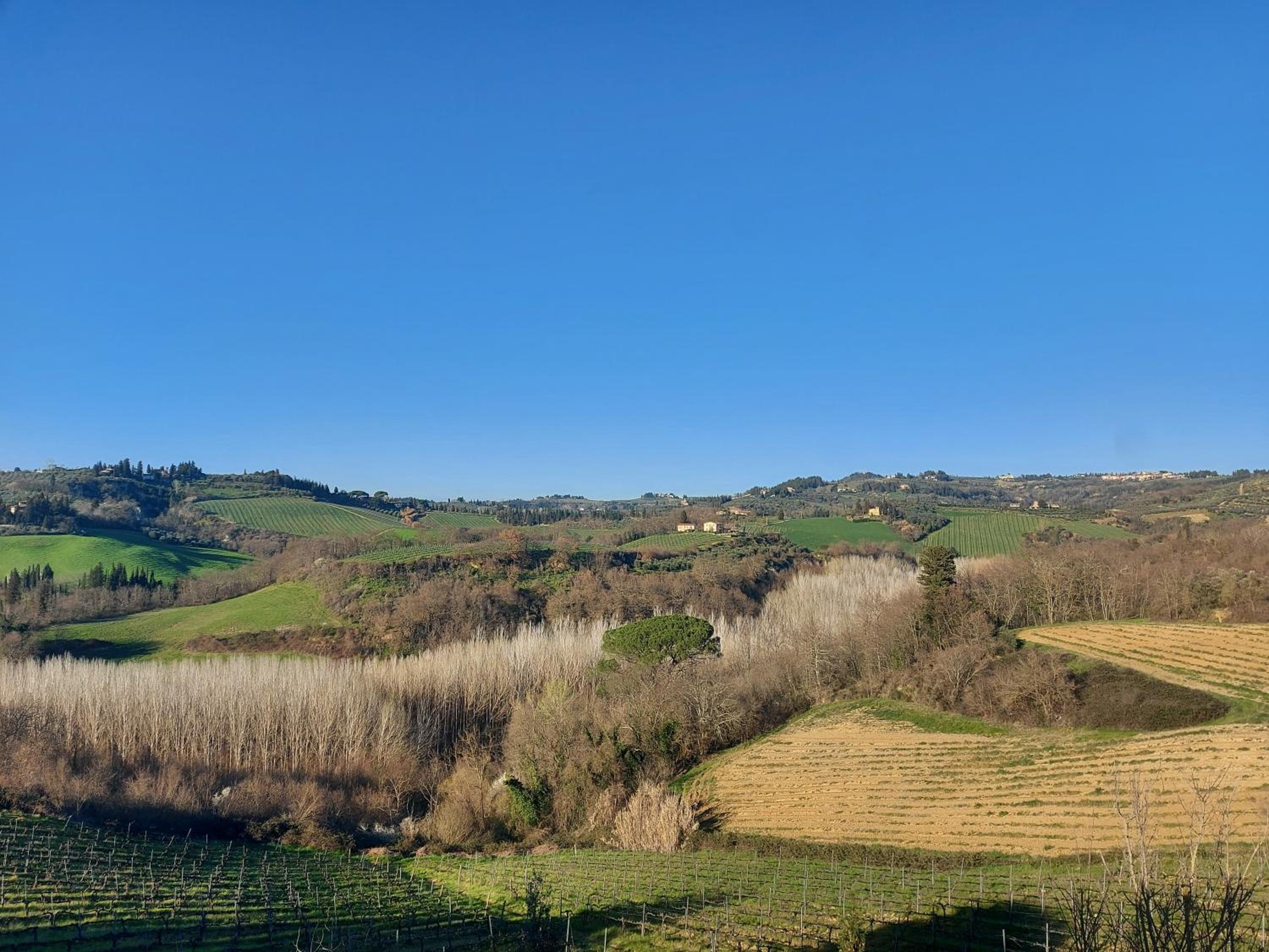 La Selva view 3