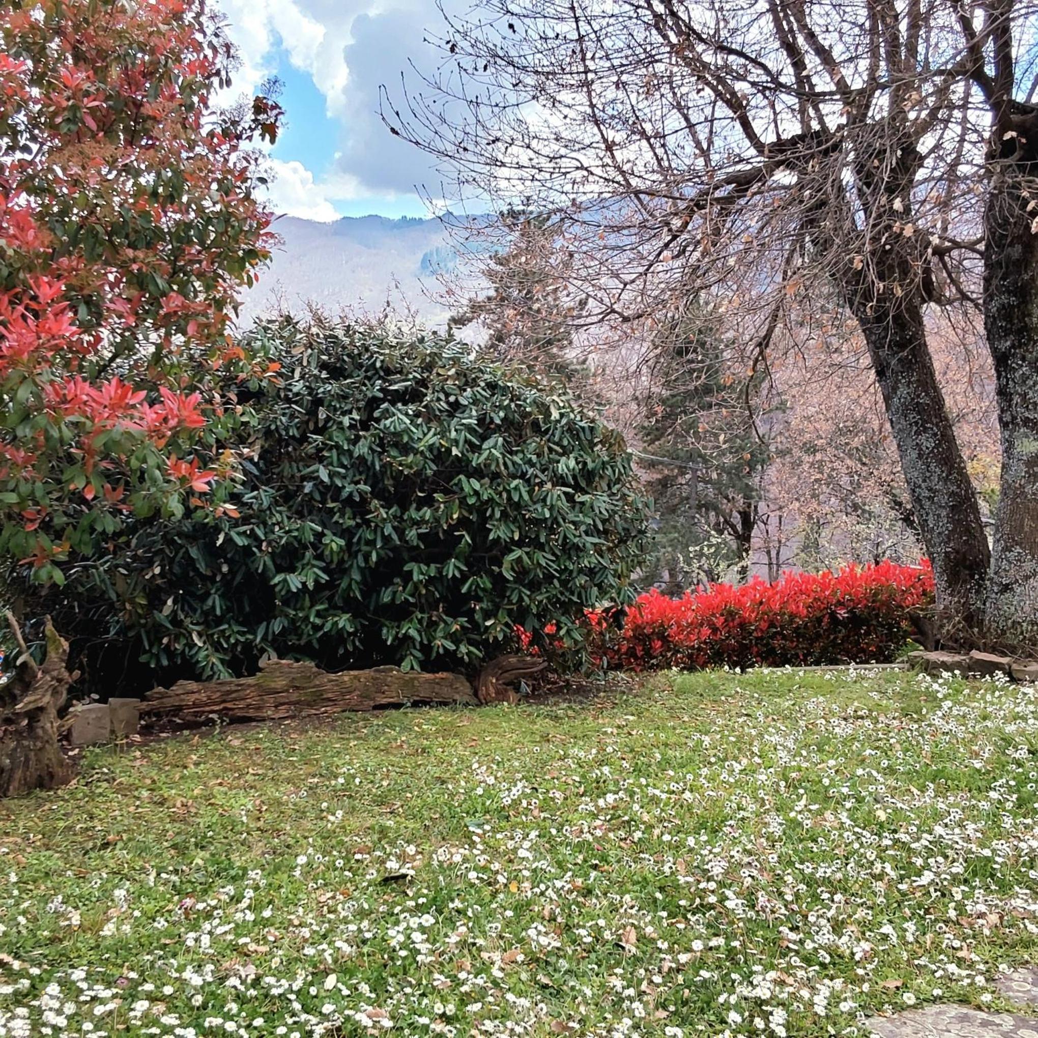 Casa Conny view 5