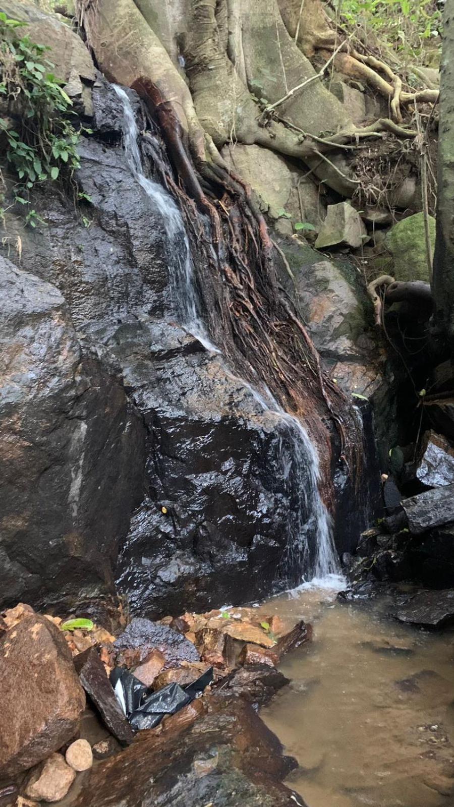Sítio Boa Vista Amparo