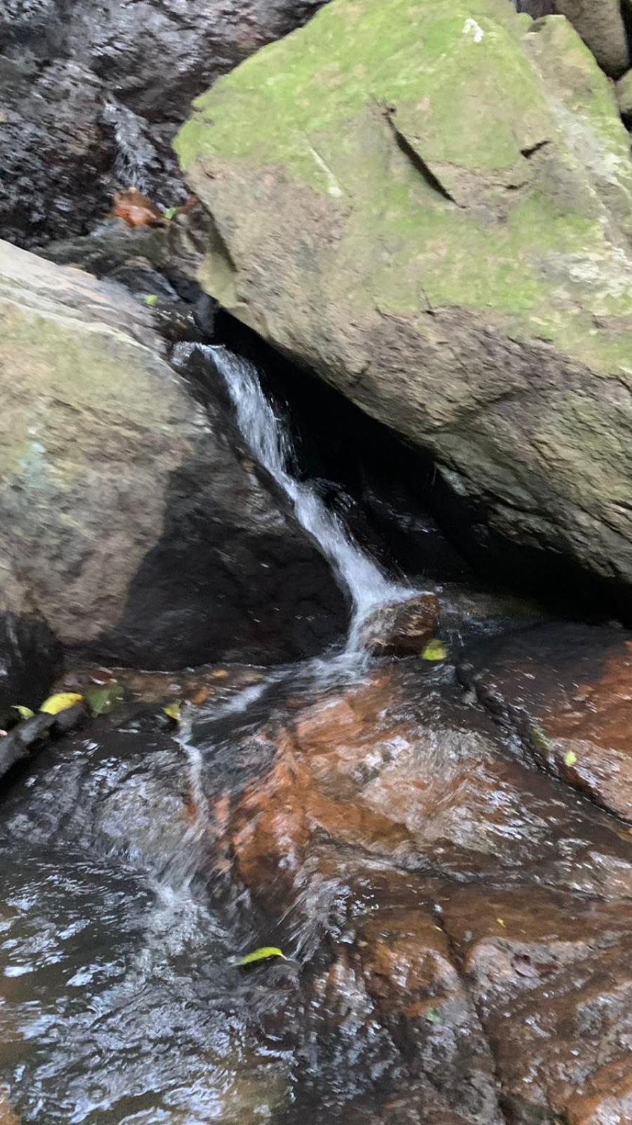 Sítio Boa Vista Amparo