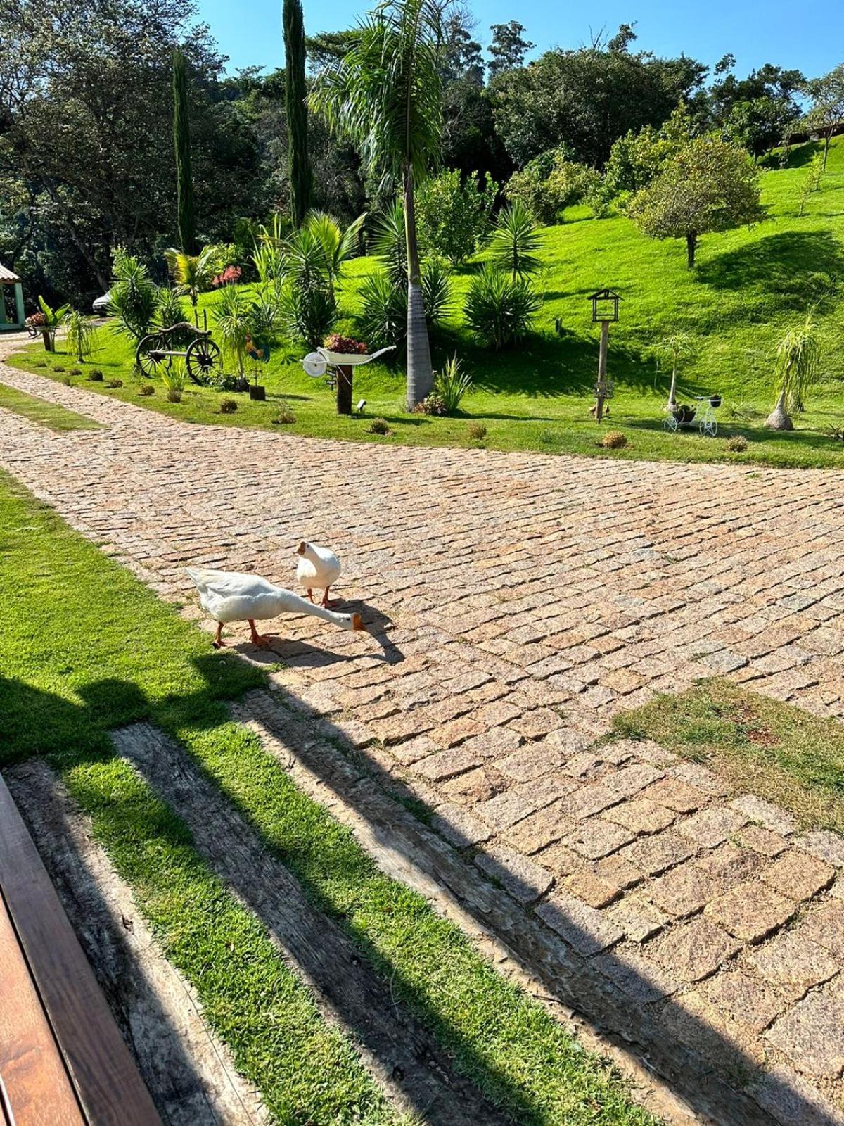 Sítio Boa Vista Amparo