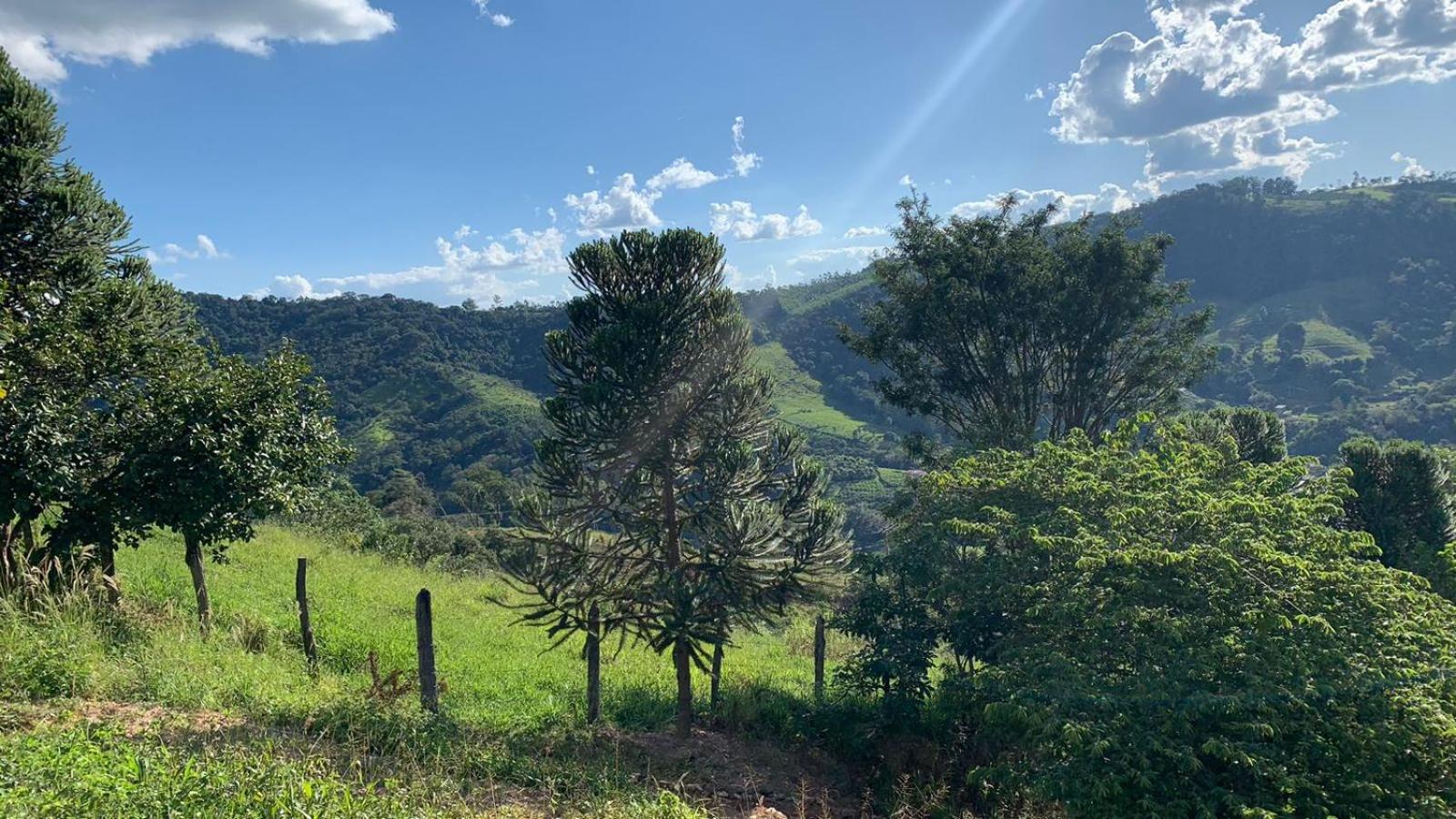 Sítio Boa Vista Amparo