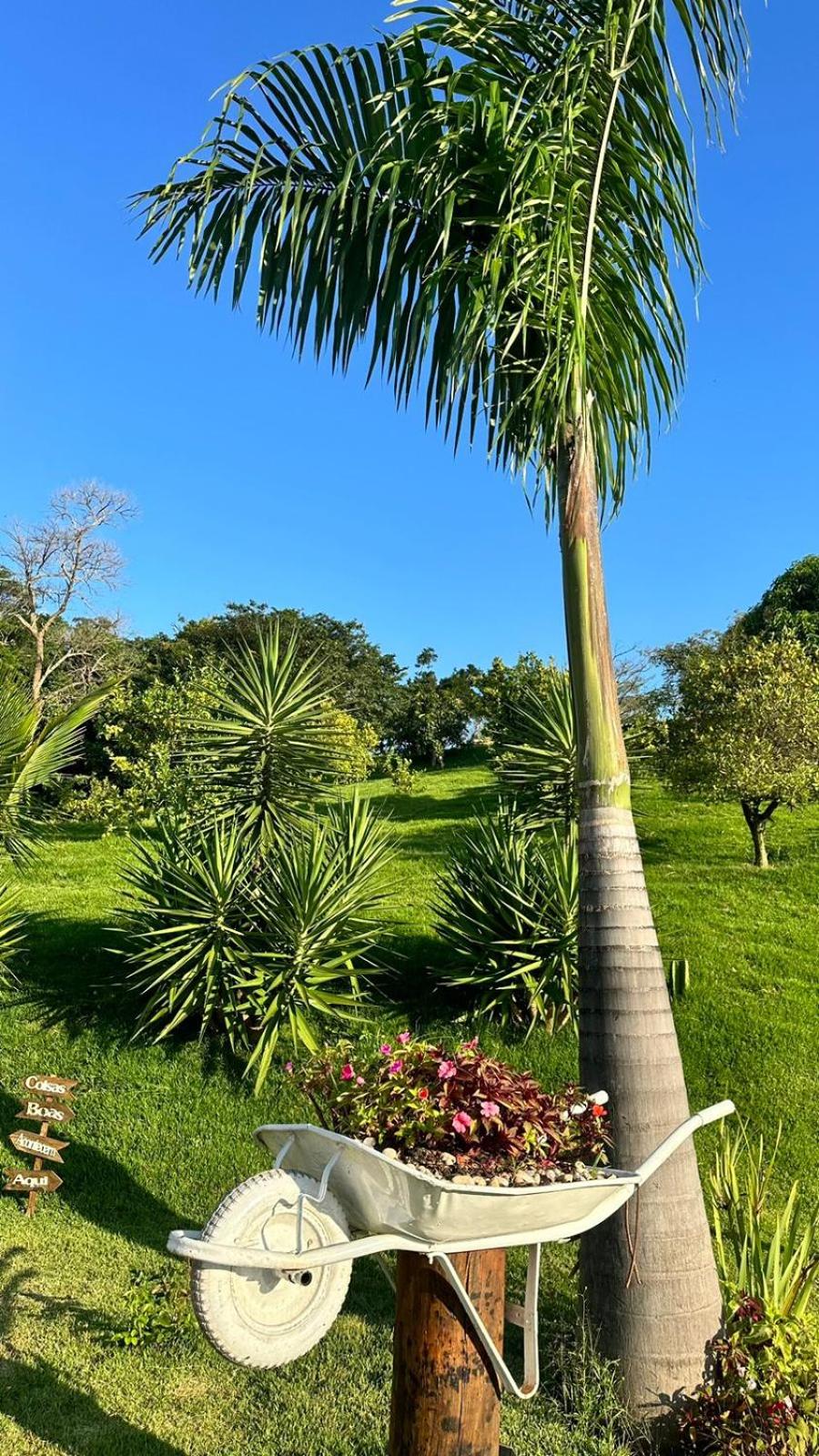 Sítio Boa Vista Amparo