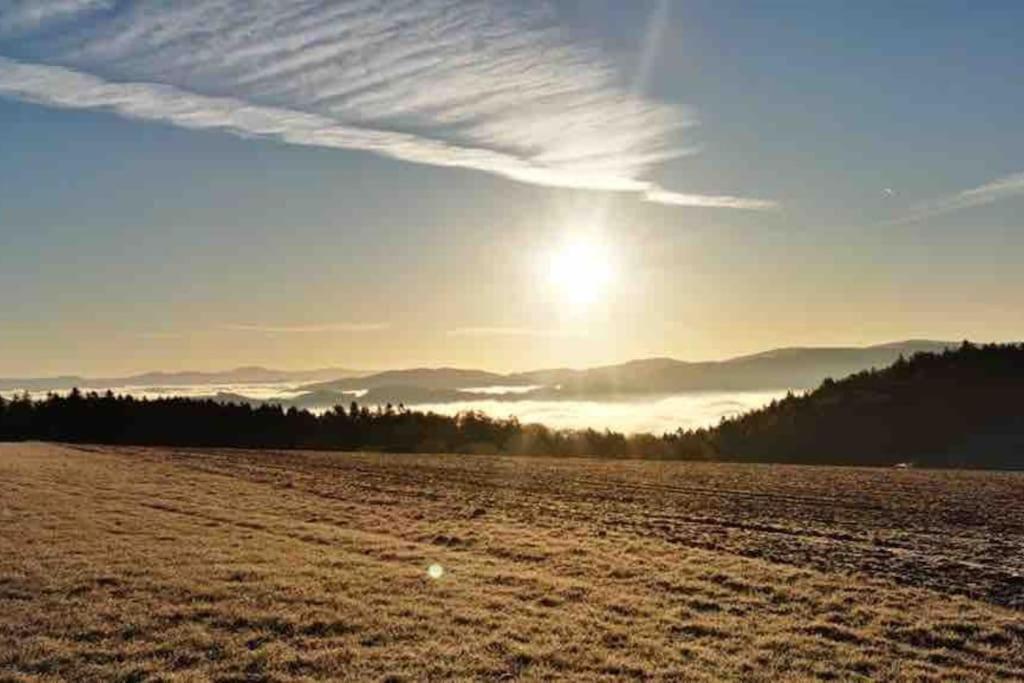 Ferienhaus Ruhe Oase im Bayerischen Wald