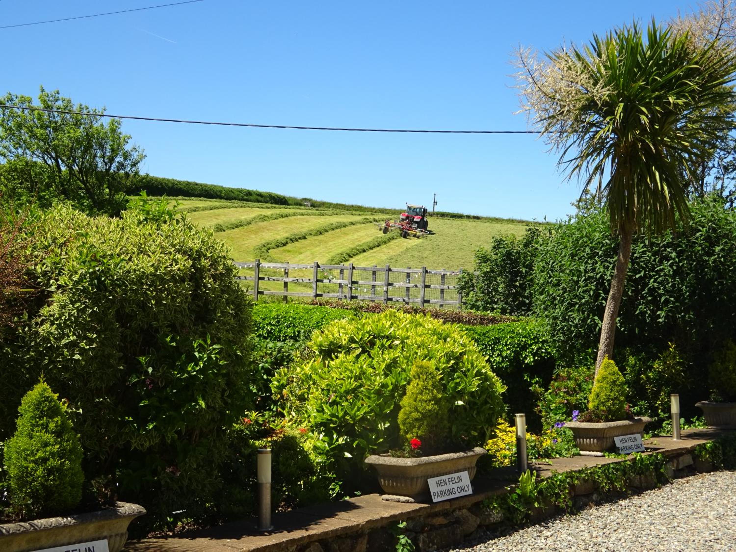 Yr Hen Felin - The Old Mill B&B