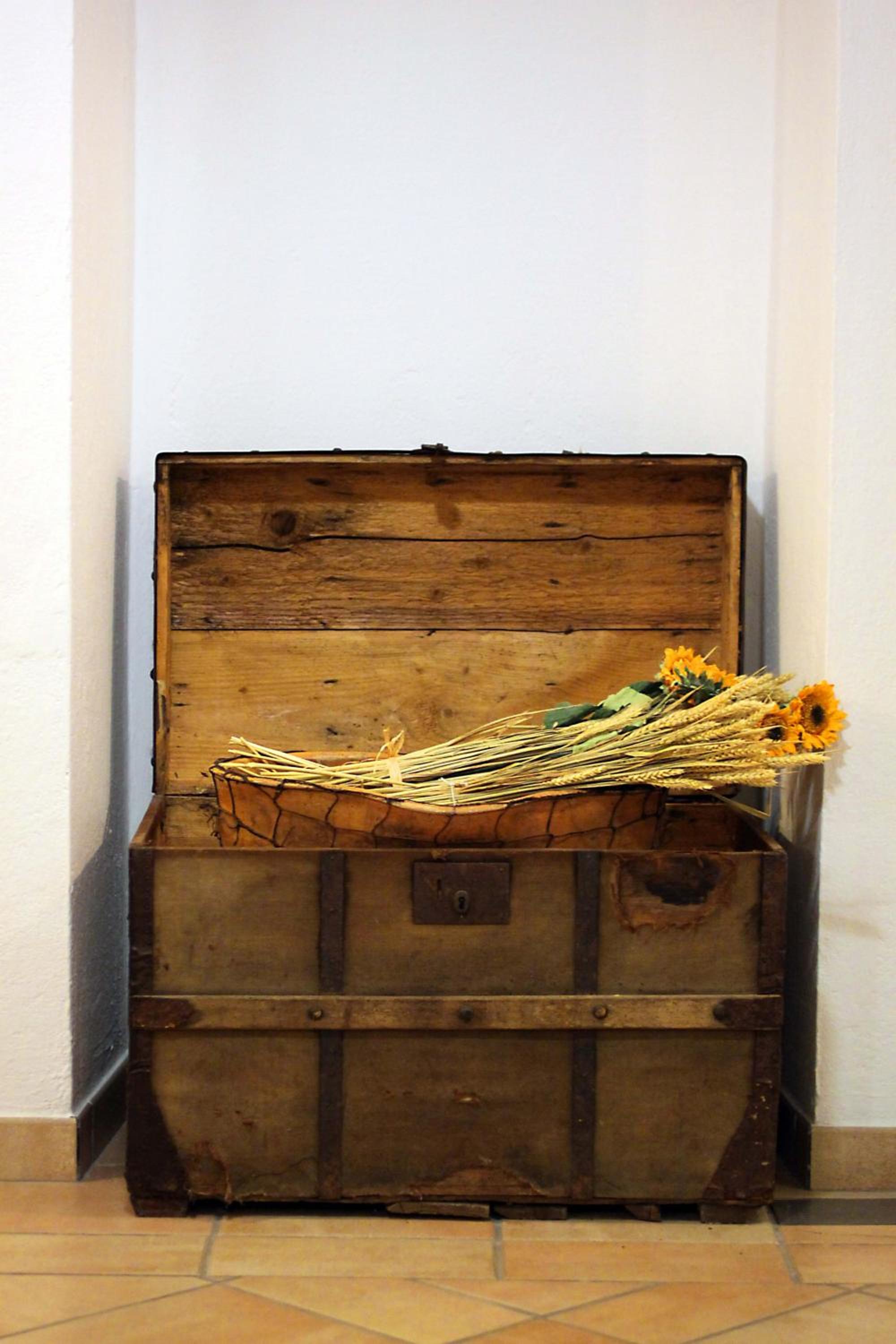 Photo 47
