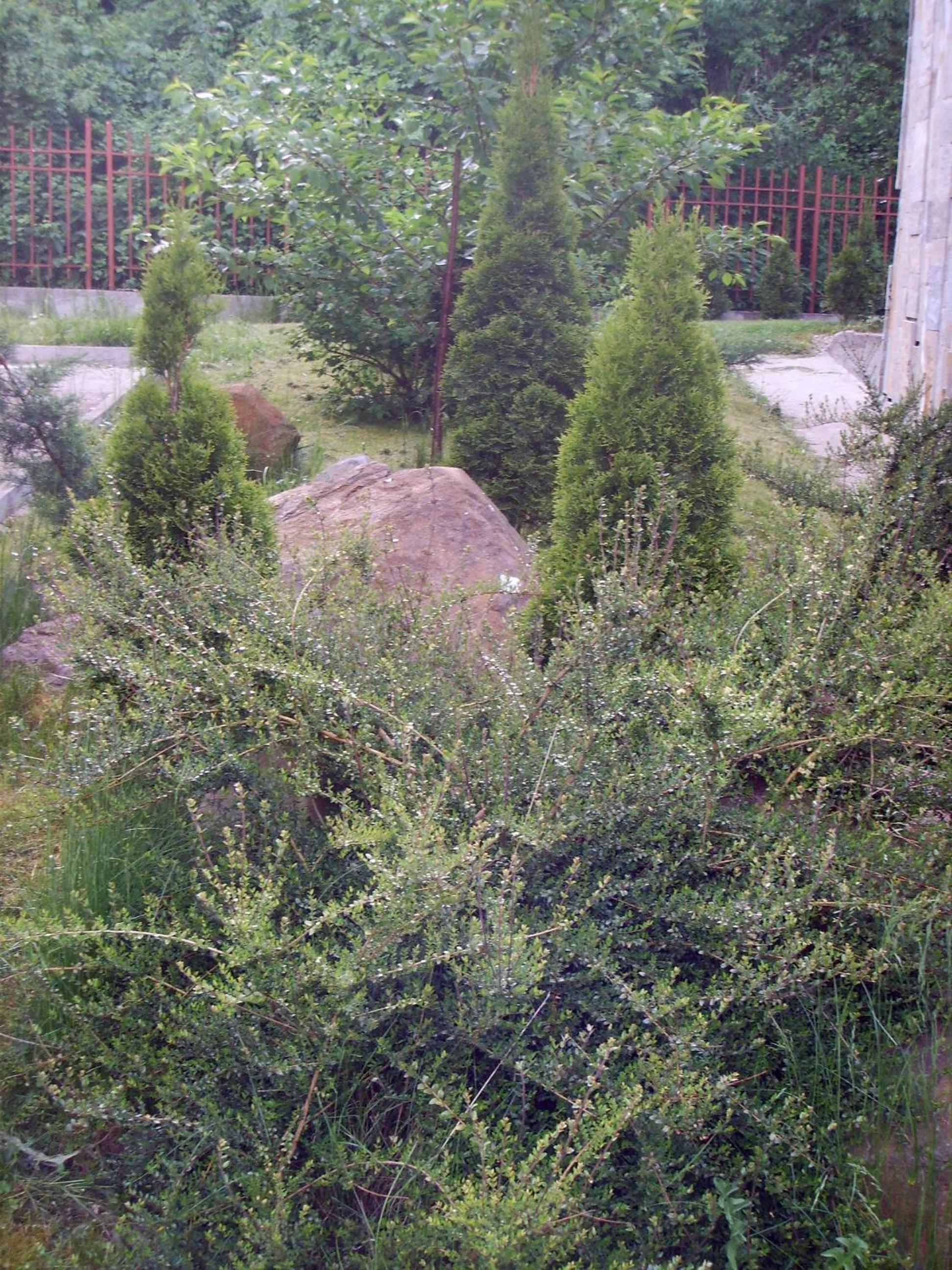 Photo 25