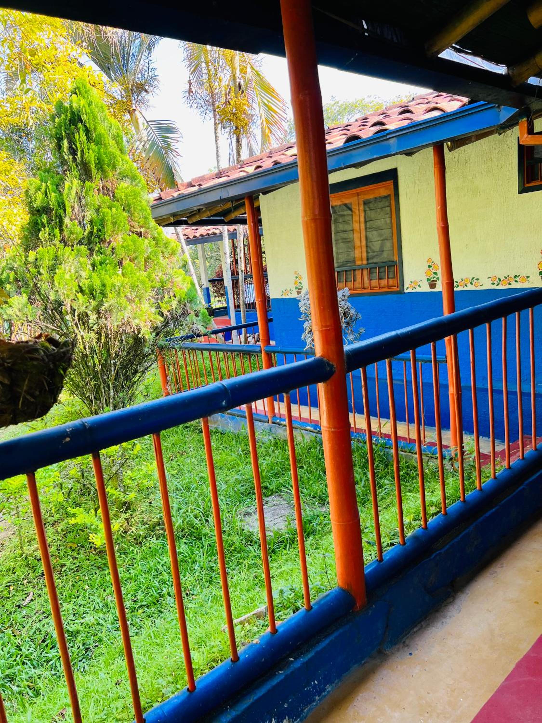 RanchoVista coffee ring The land of Encanto