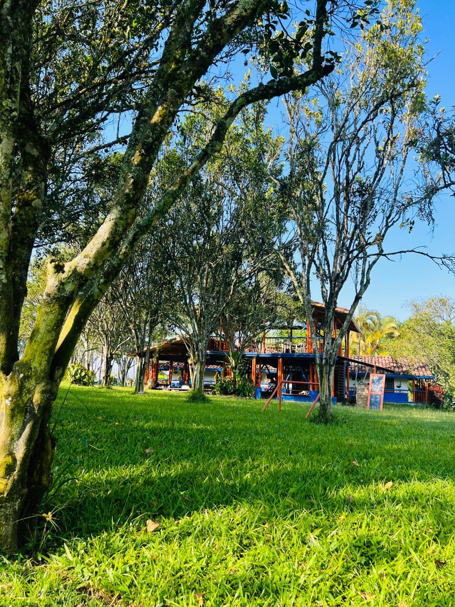 RanchoVista coffee ring The land of Encanto