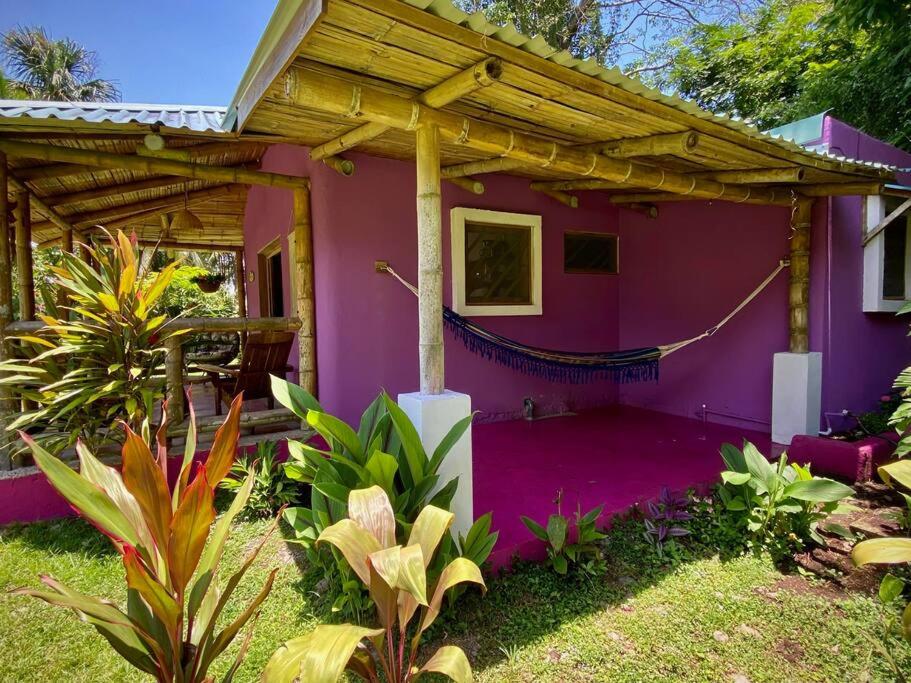 Casa Lavanda in tropical jungle garden
