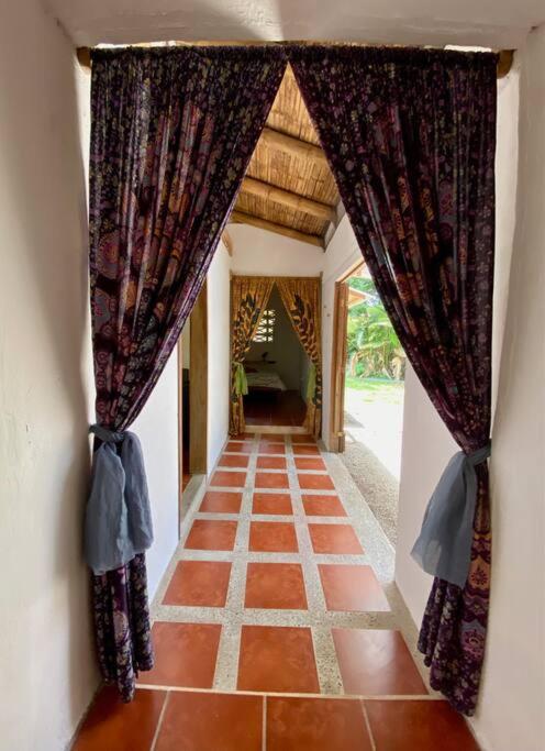 Casa Lavanda in tropical jungle garden