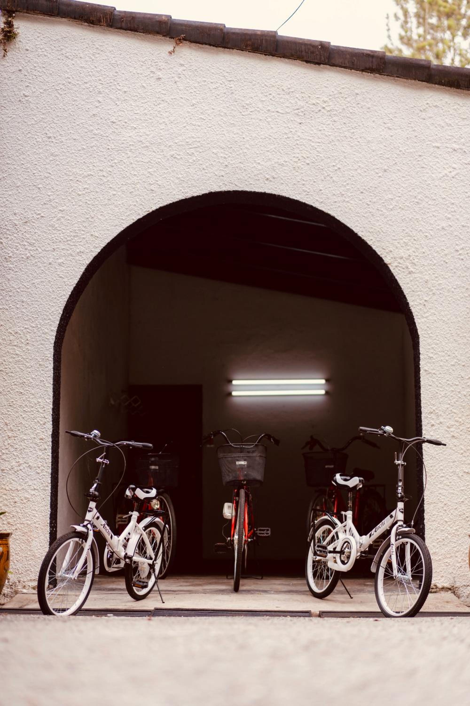 Photo 44