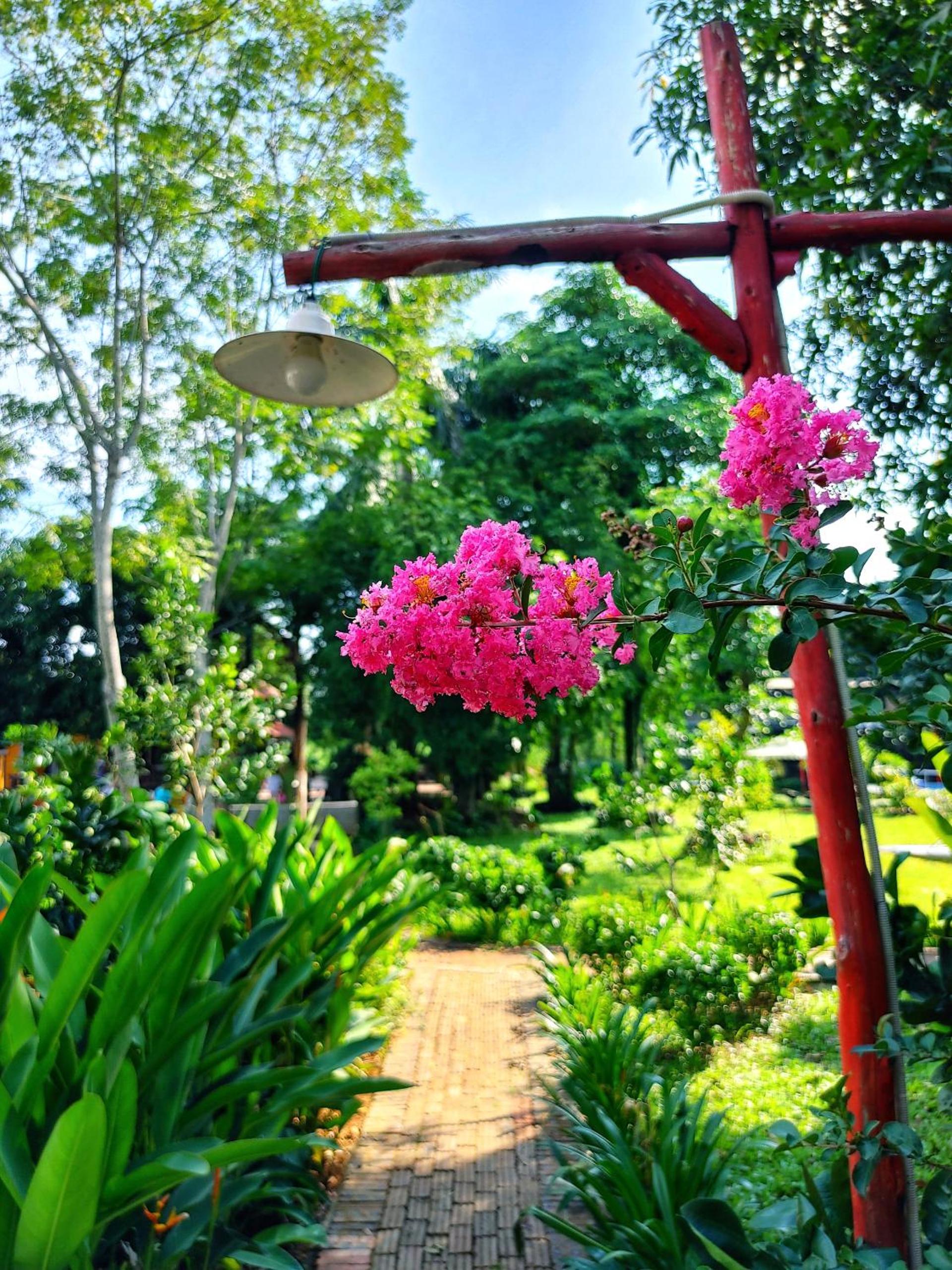 Wonder Farm Ba Vì - Edu & Retreat