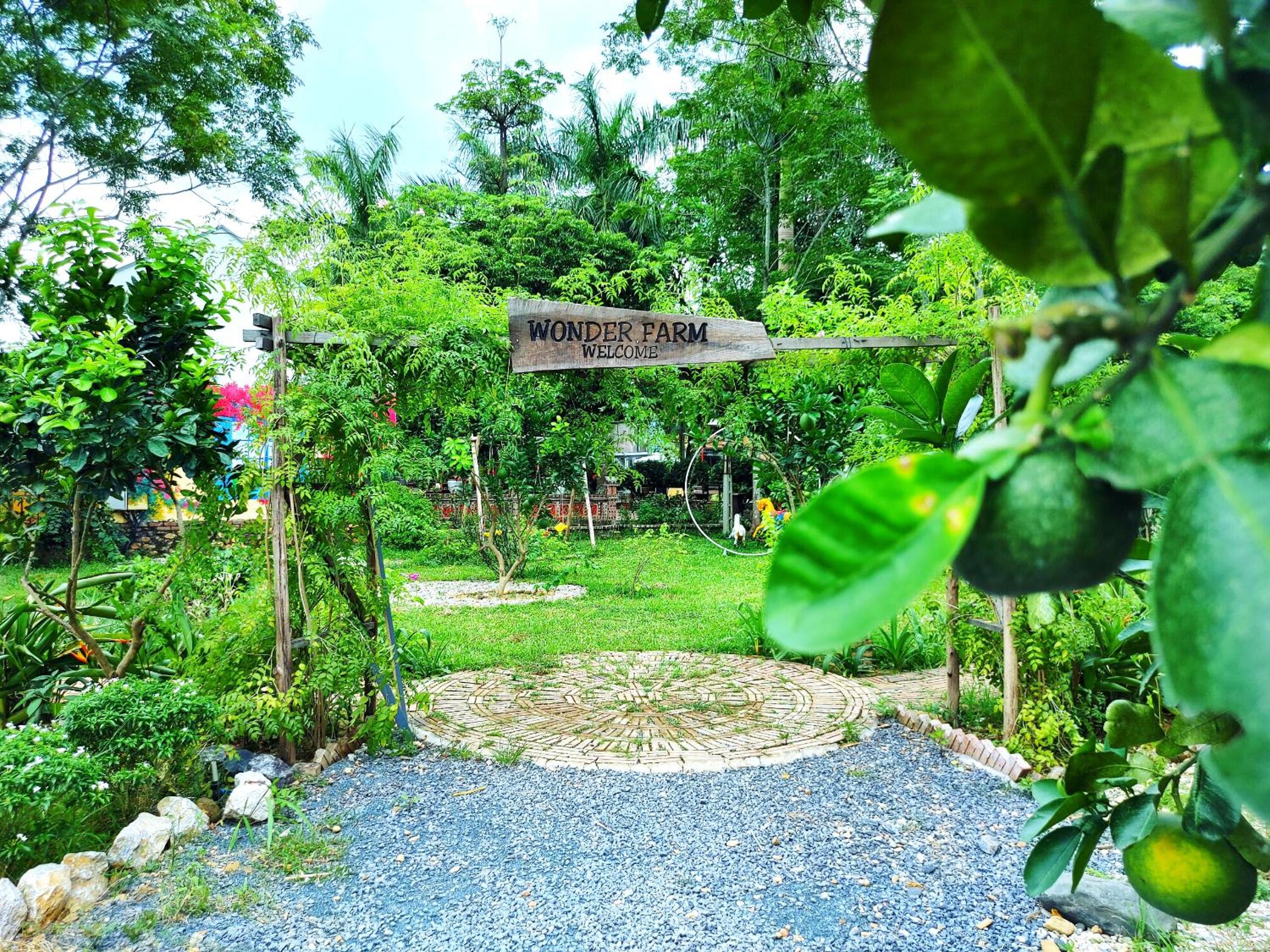 Wonder Farm Ba Vì - Edu & Retreat