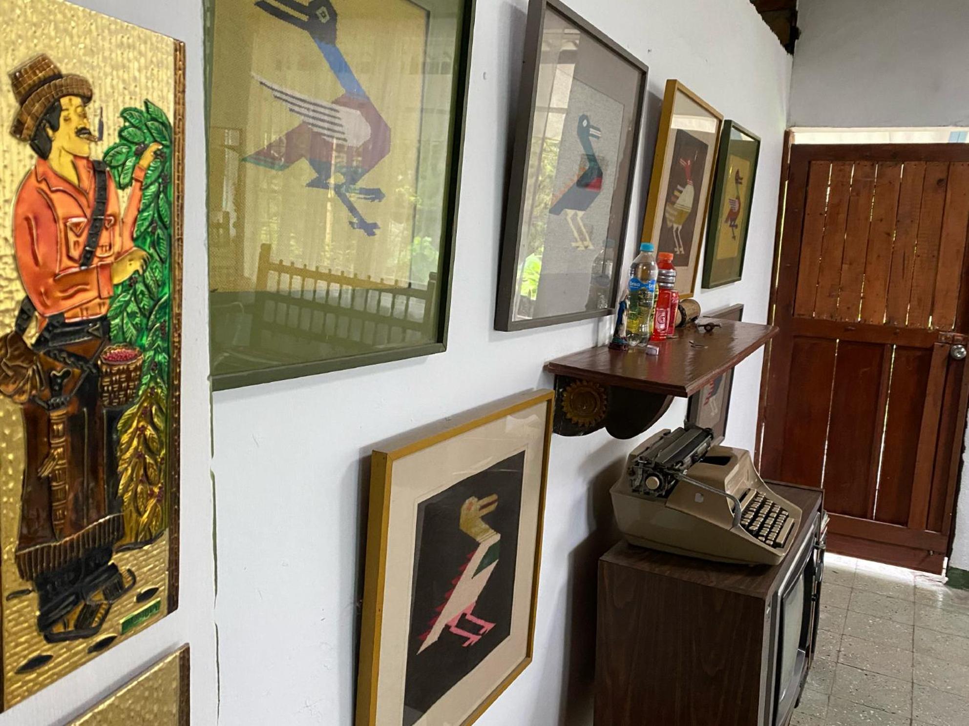 ECOHostal las Hamacas