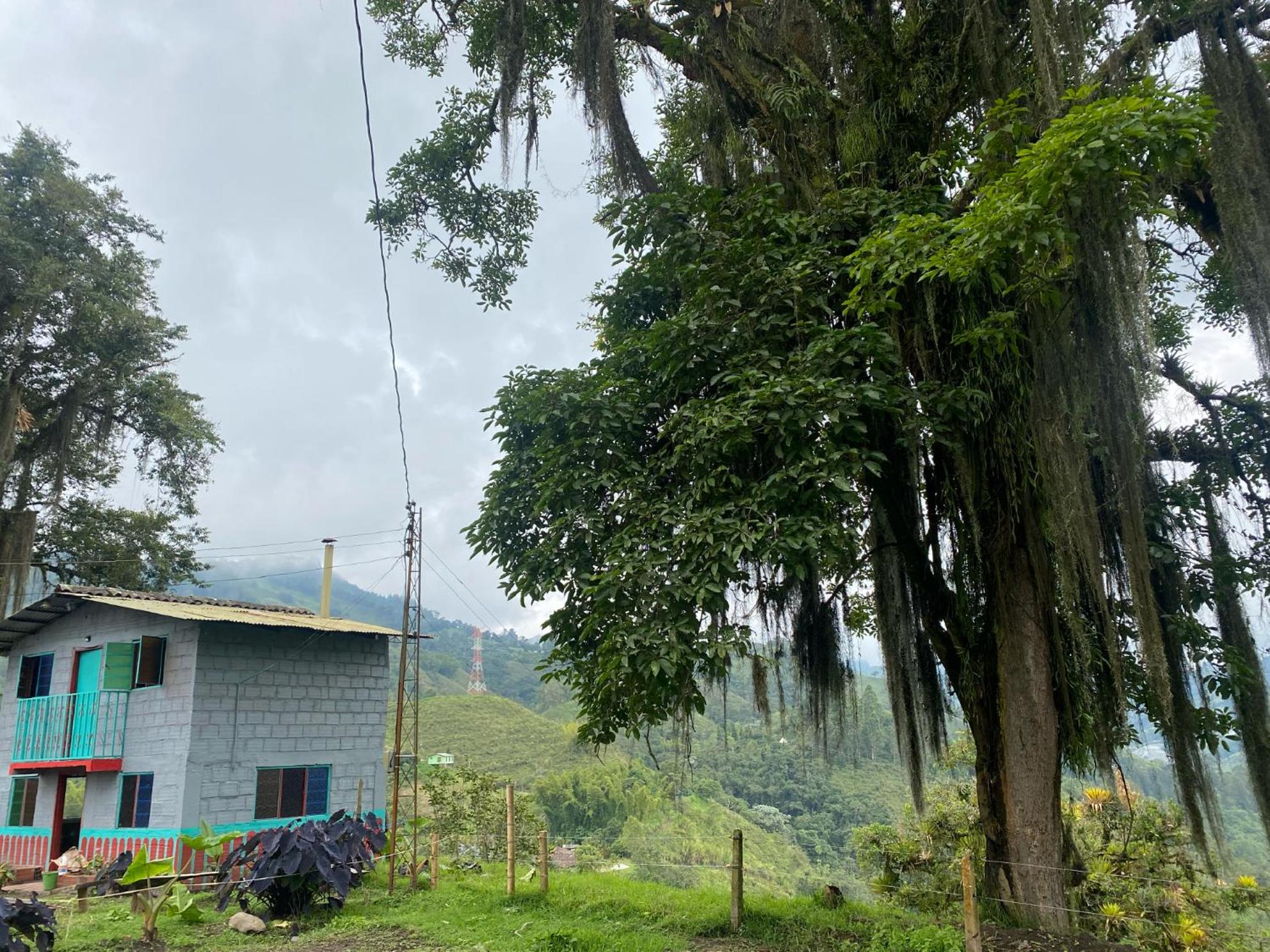 ECOHostal las Hamacas