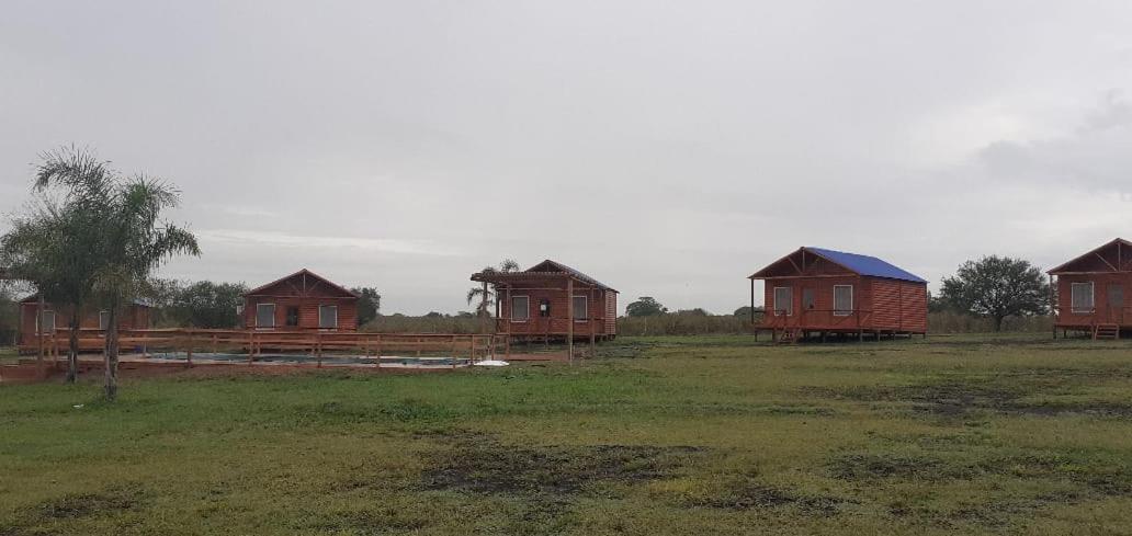 Las Lambertianas