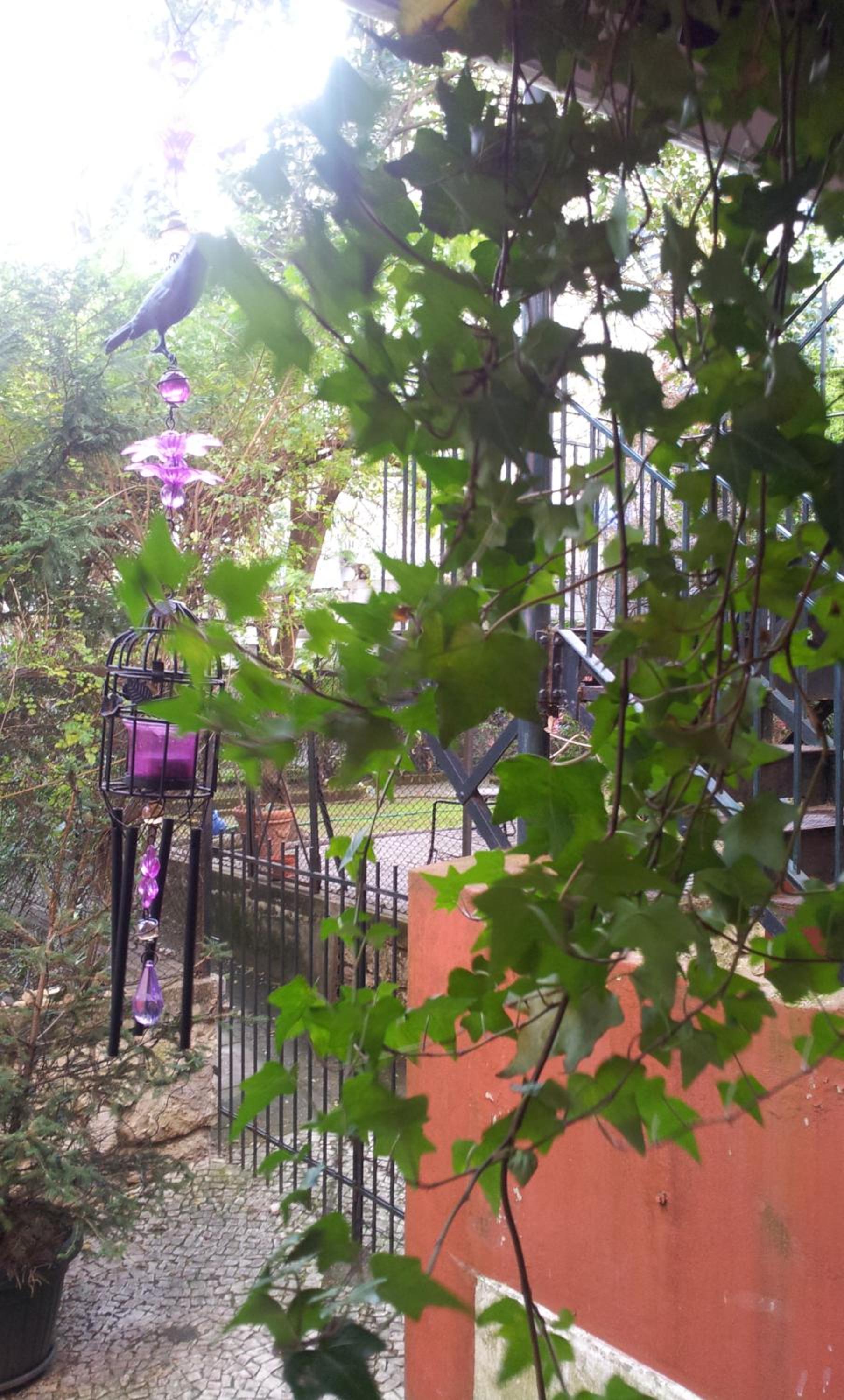 Photo 40