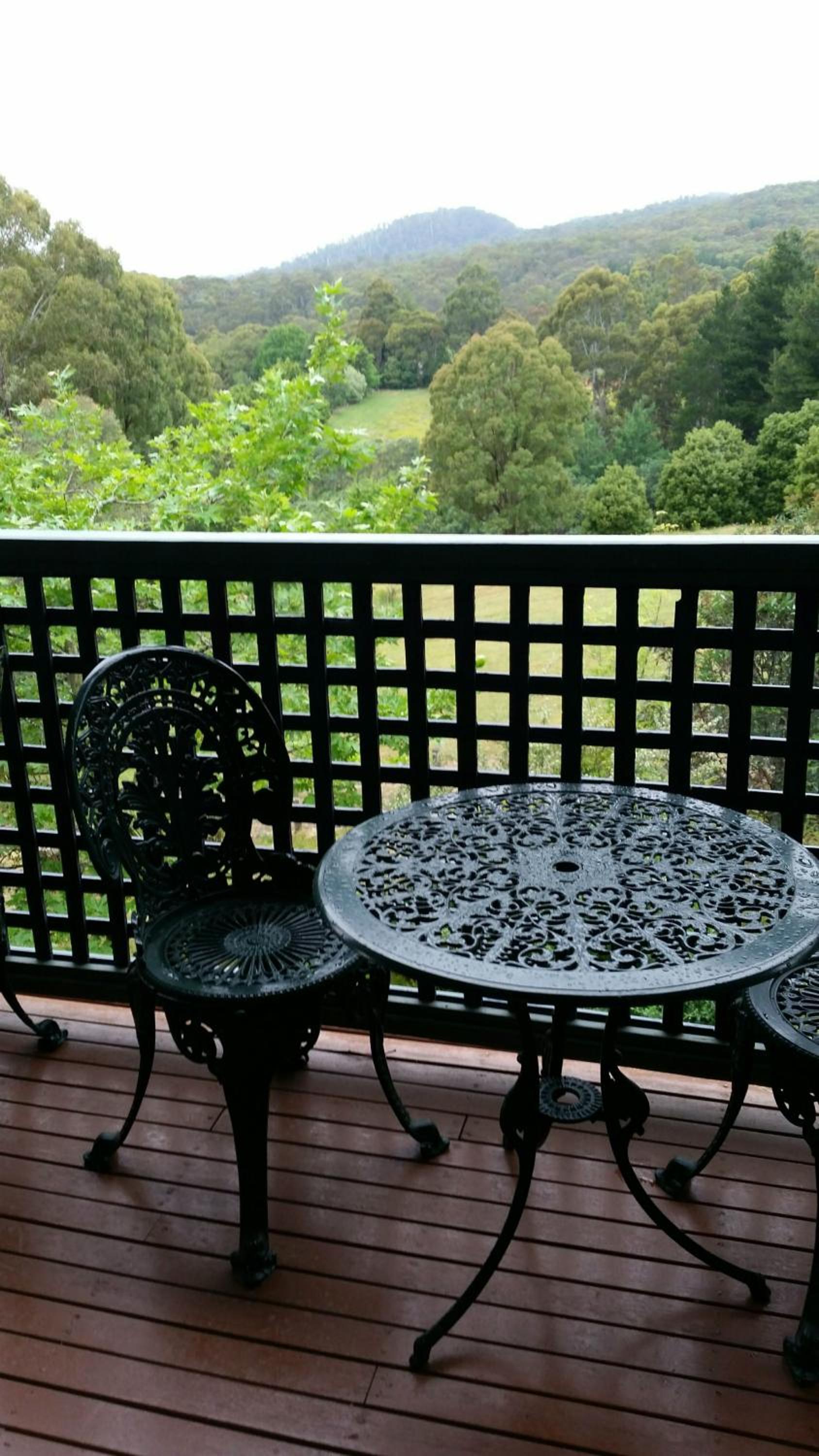 View Mount