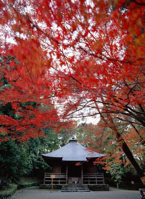 Shizukatei