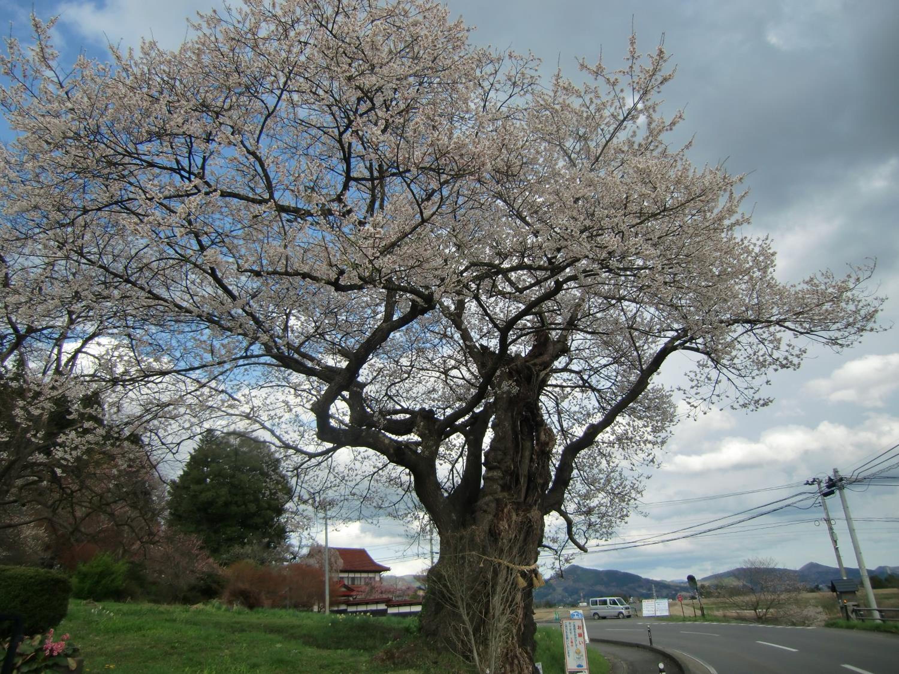 Shizukatei, 平泉町 - 12