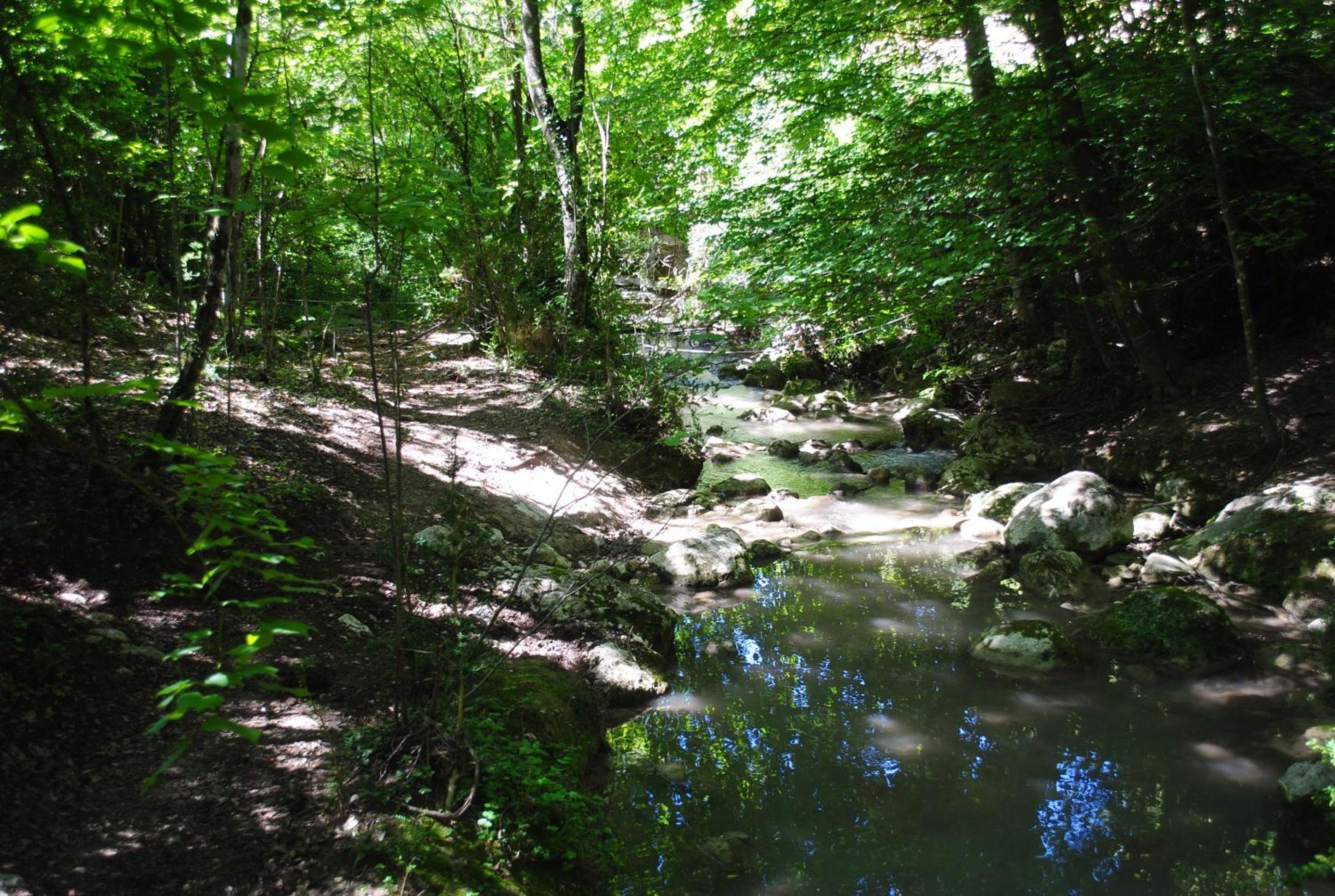 Photo 40