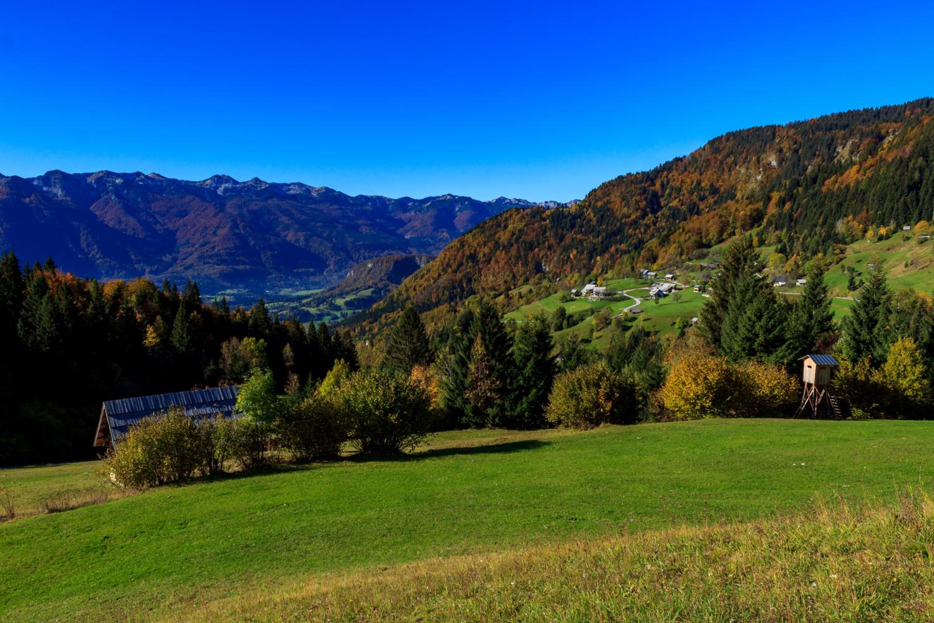 Holiday house Pokrovec - Bohinj view 5