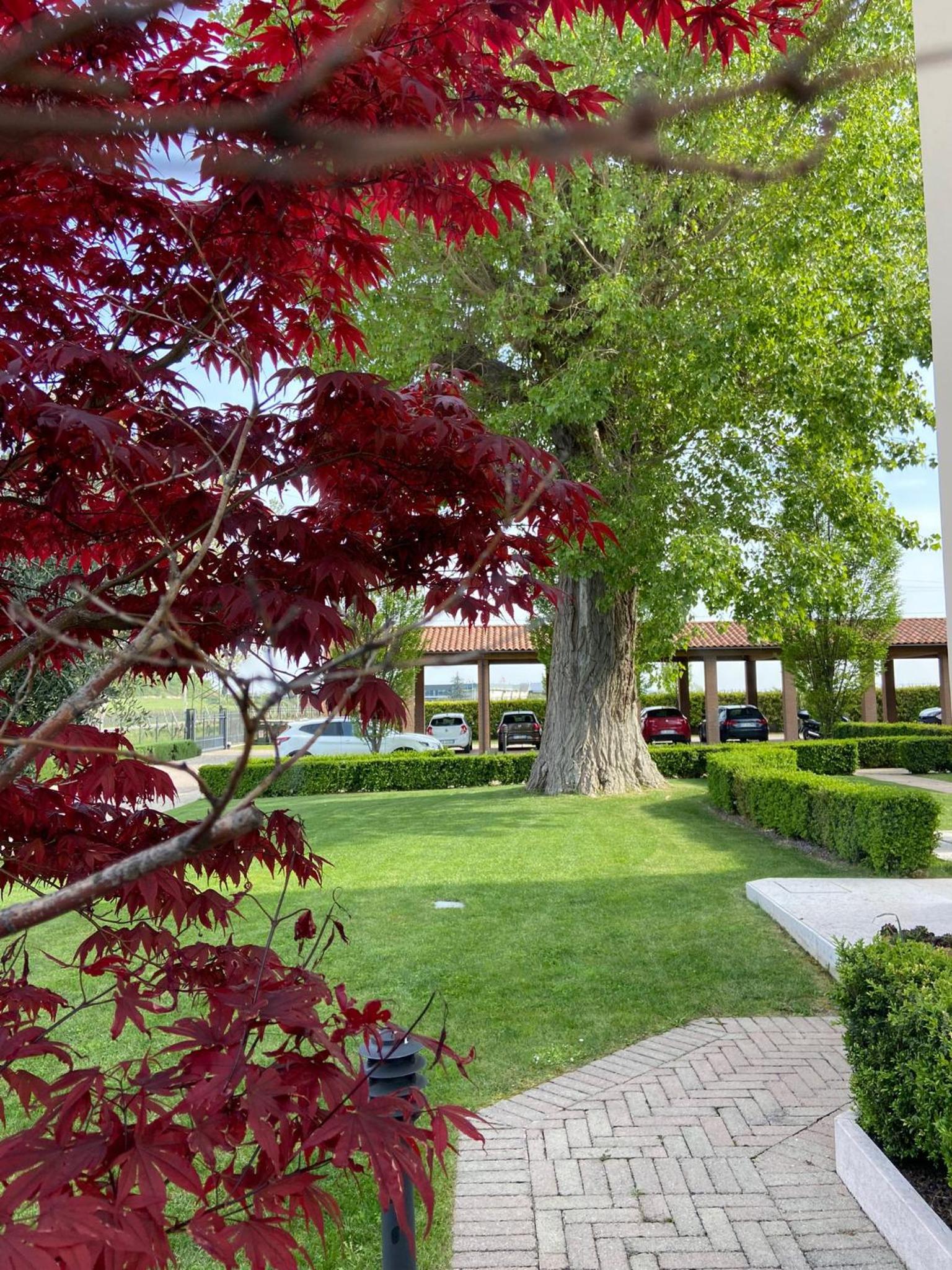 Green Park Apartment