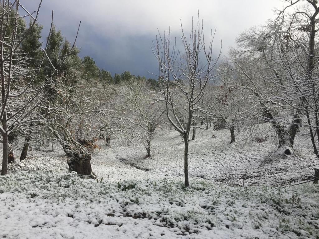 Viviendas Rurales del Robledo