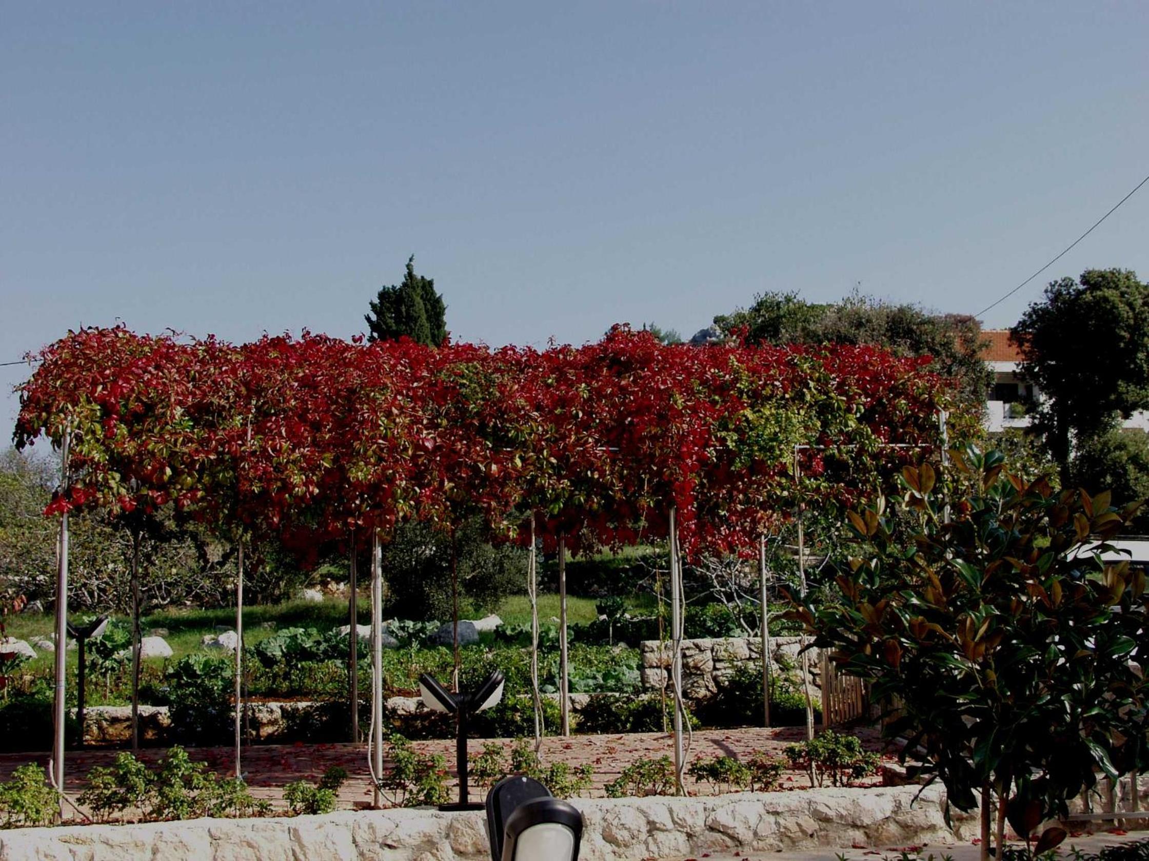 Photo 43