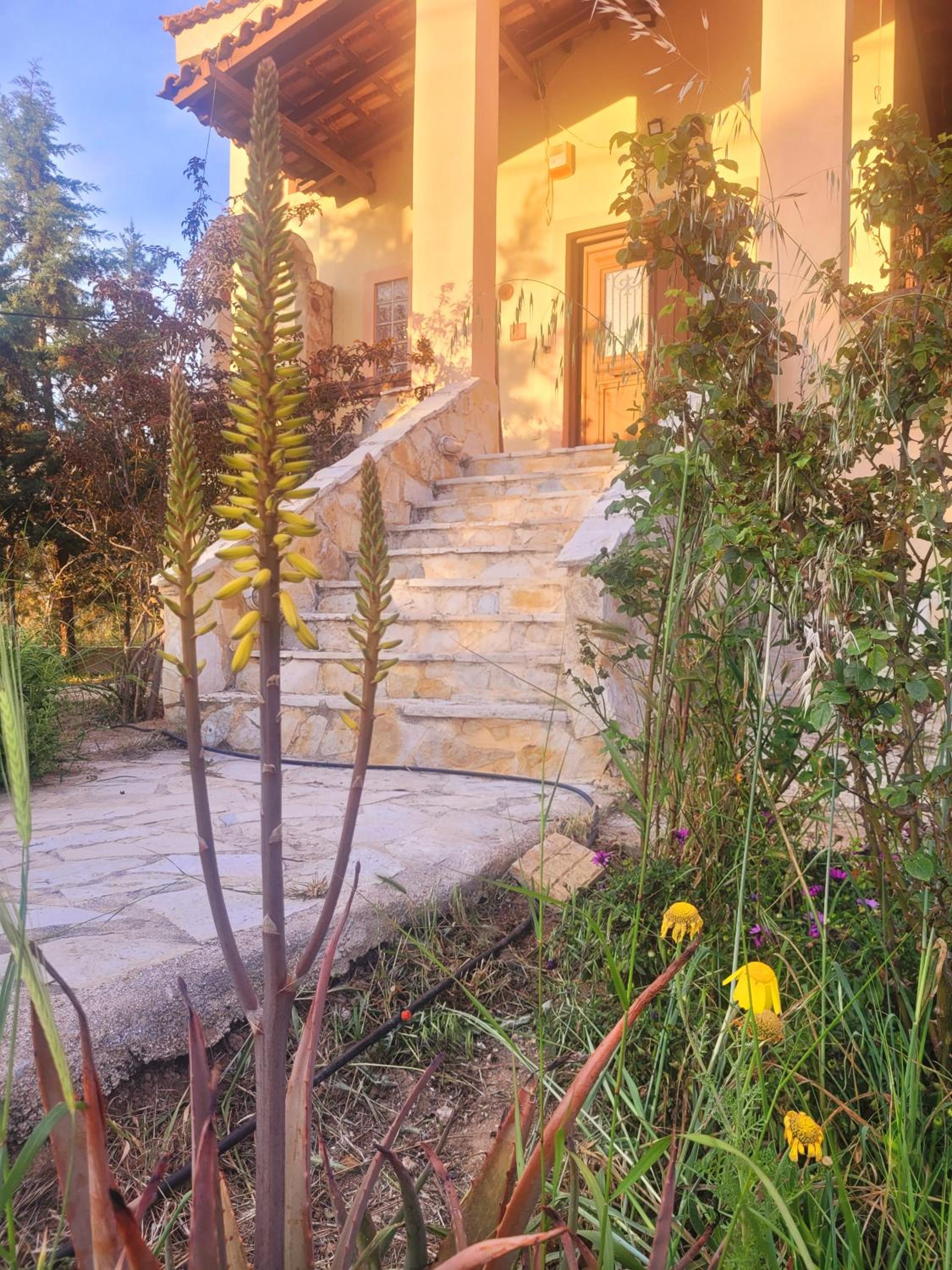 Photo 47