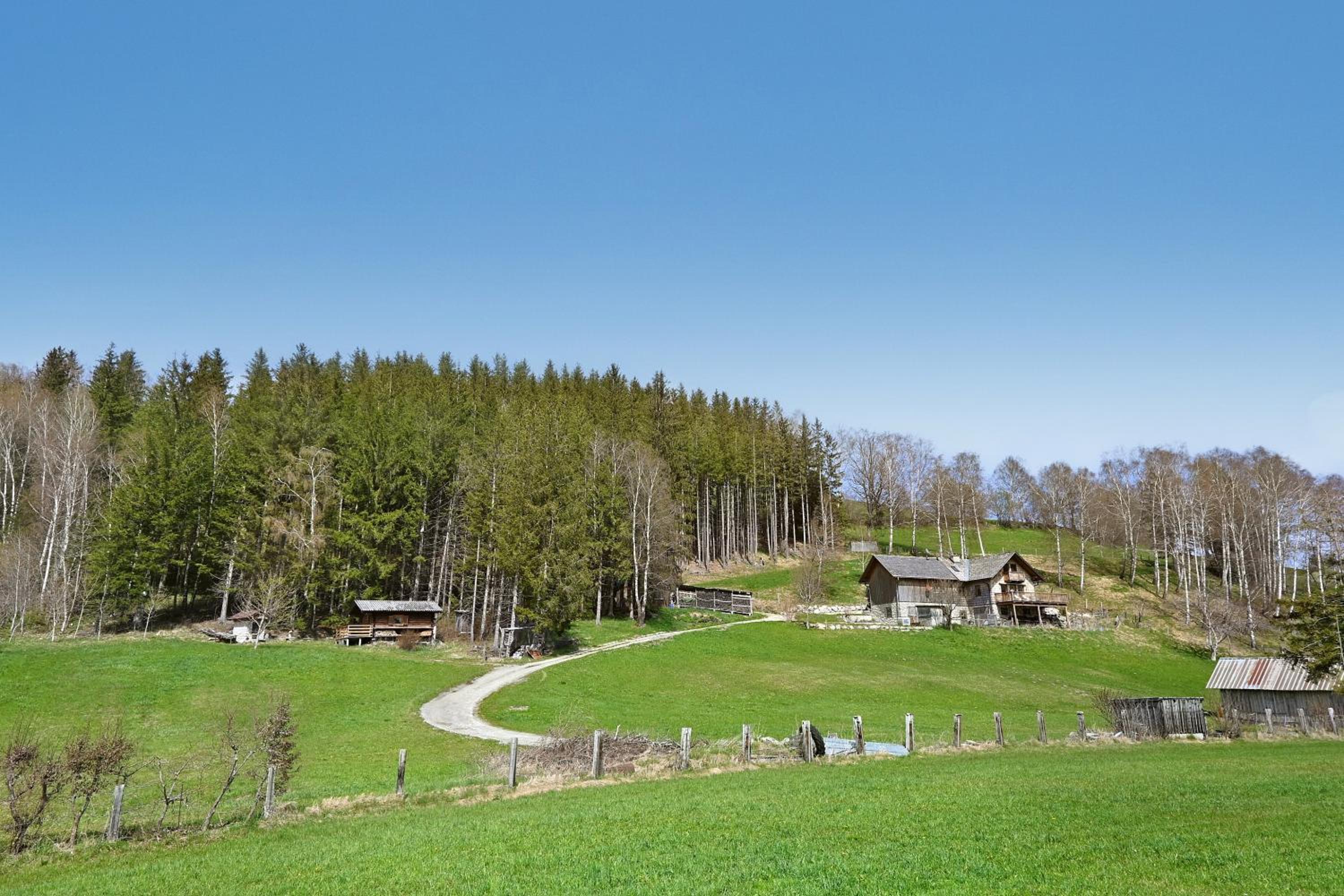 Traum Chalet mit Privatwald