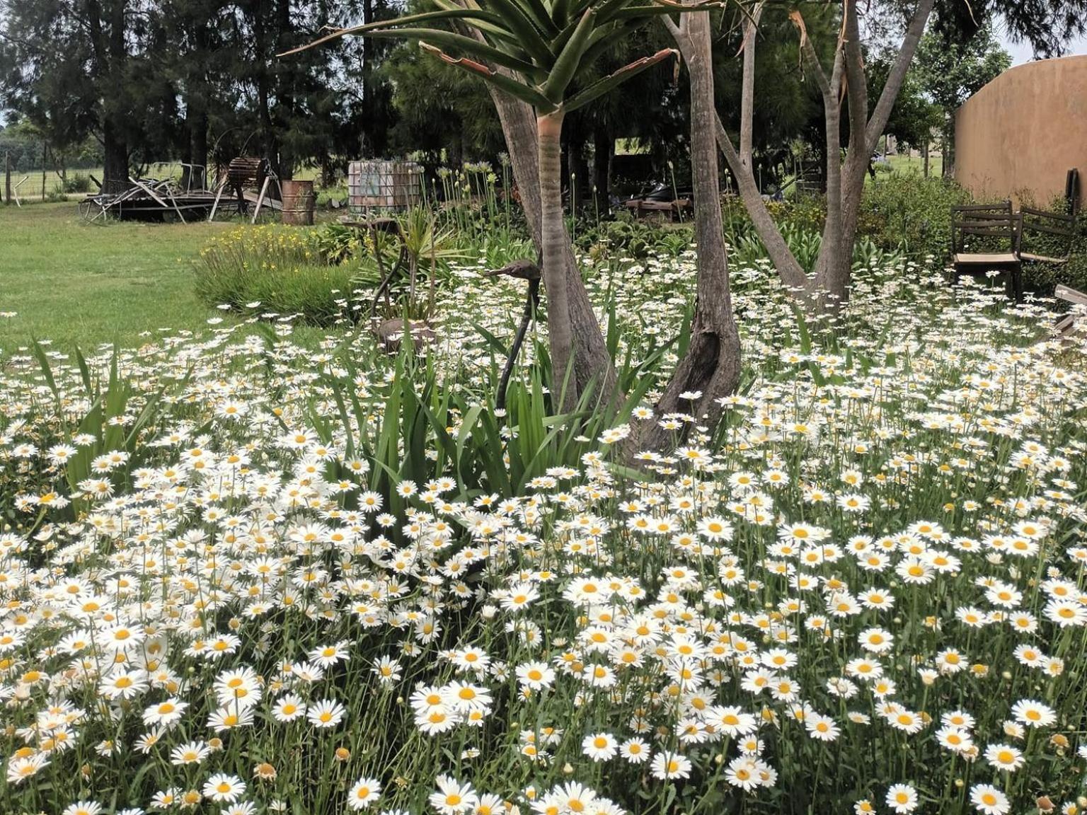 Linglela Lodge view 4