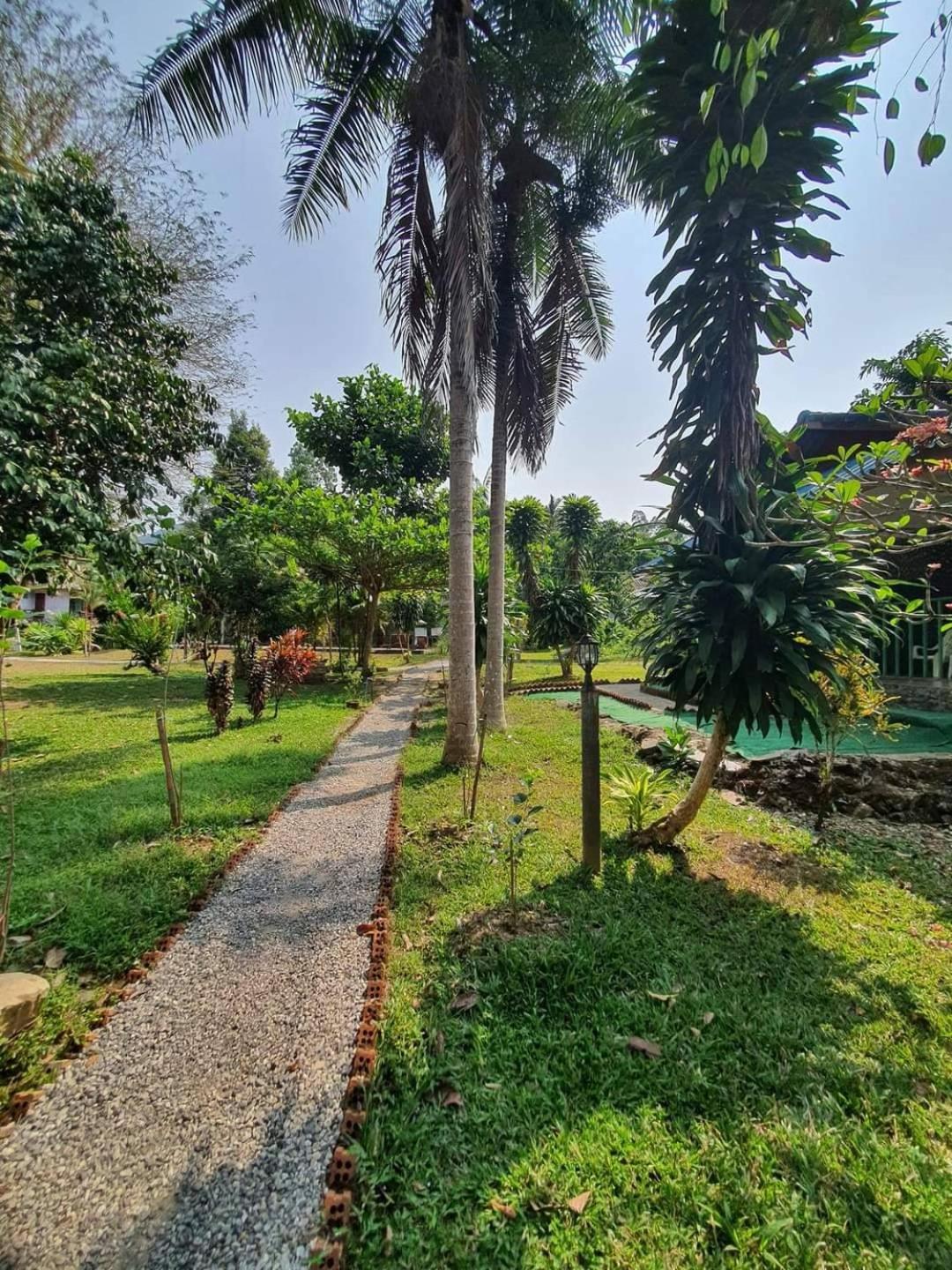 garden