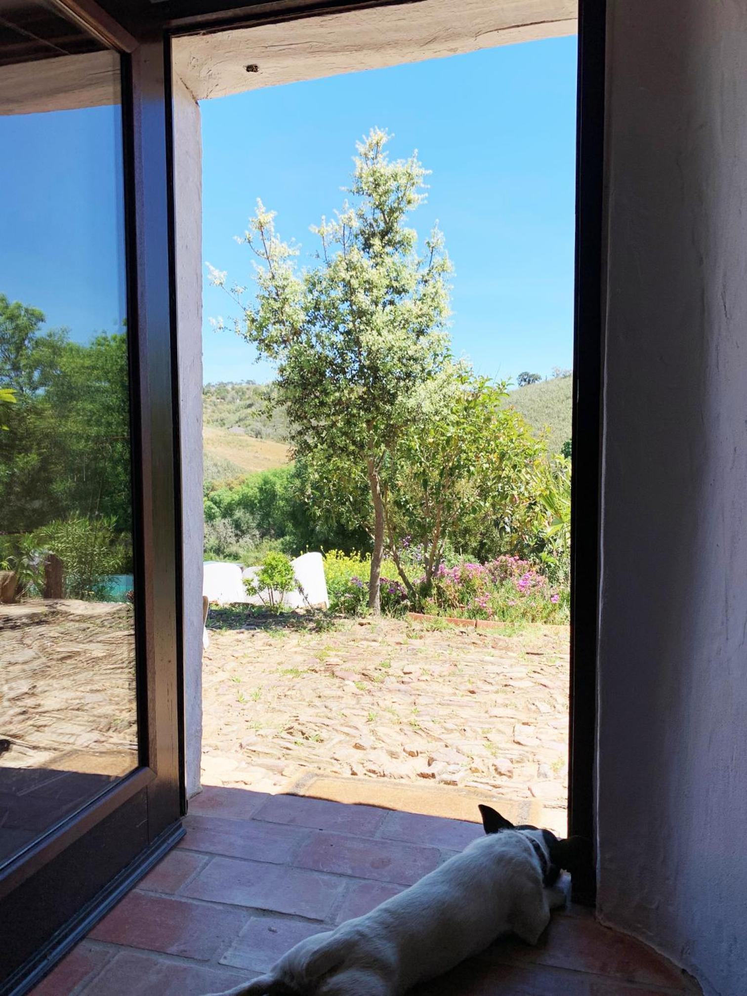 The Stream House - Montes da Ronha view 2