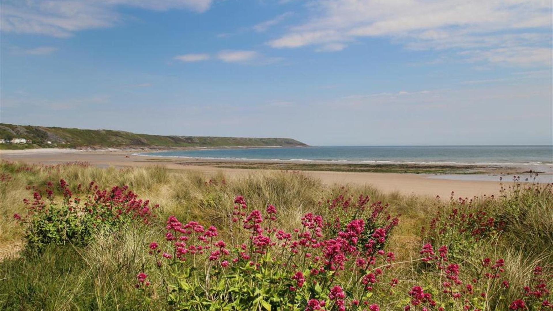 4 Bed in Port Eynon oc-hh9901