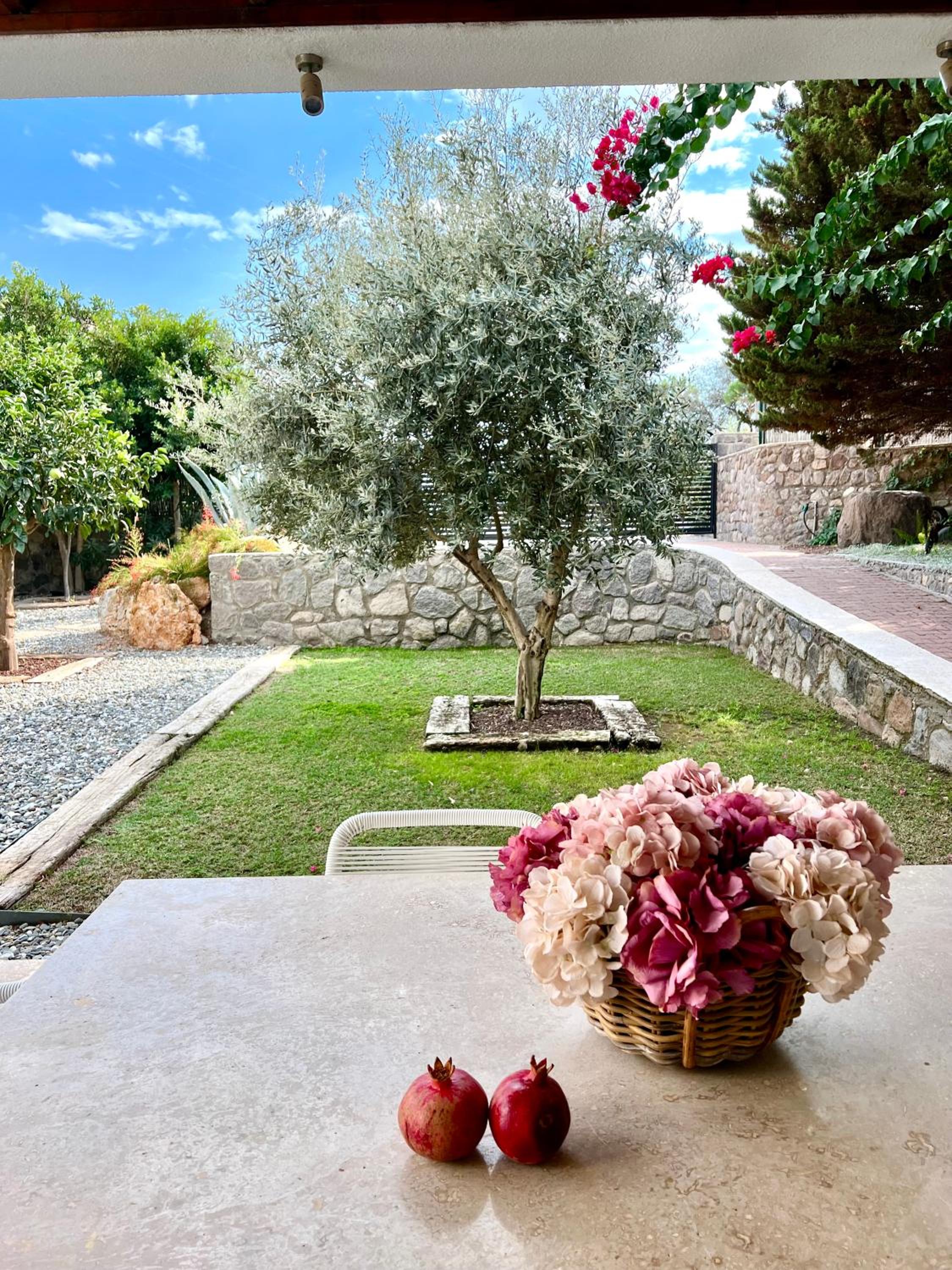 Cute Bodrum Home, Modern 2 plus 1 stand alone house with garden, near the beach