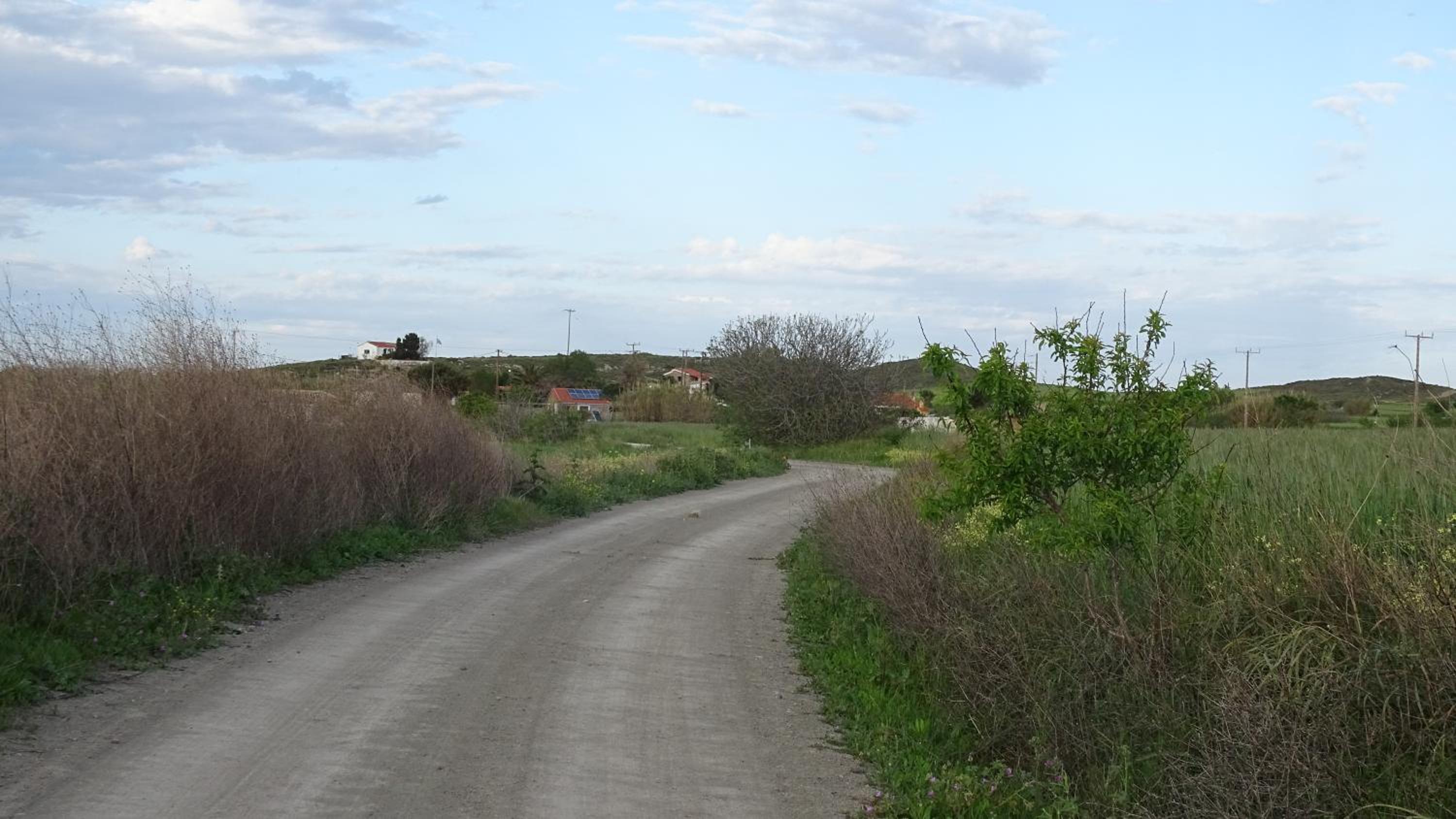 Photo 36